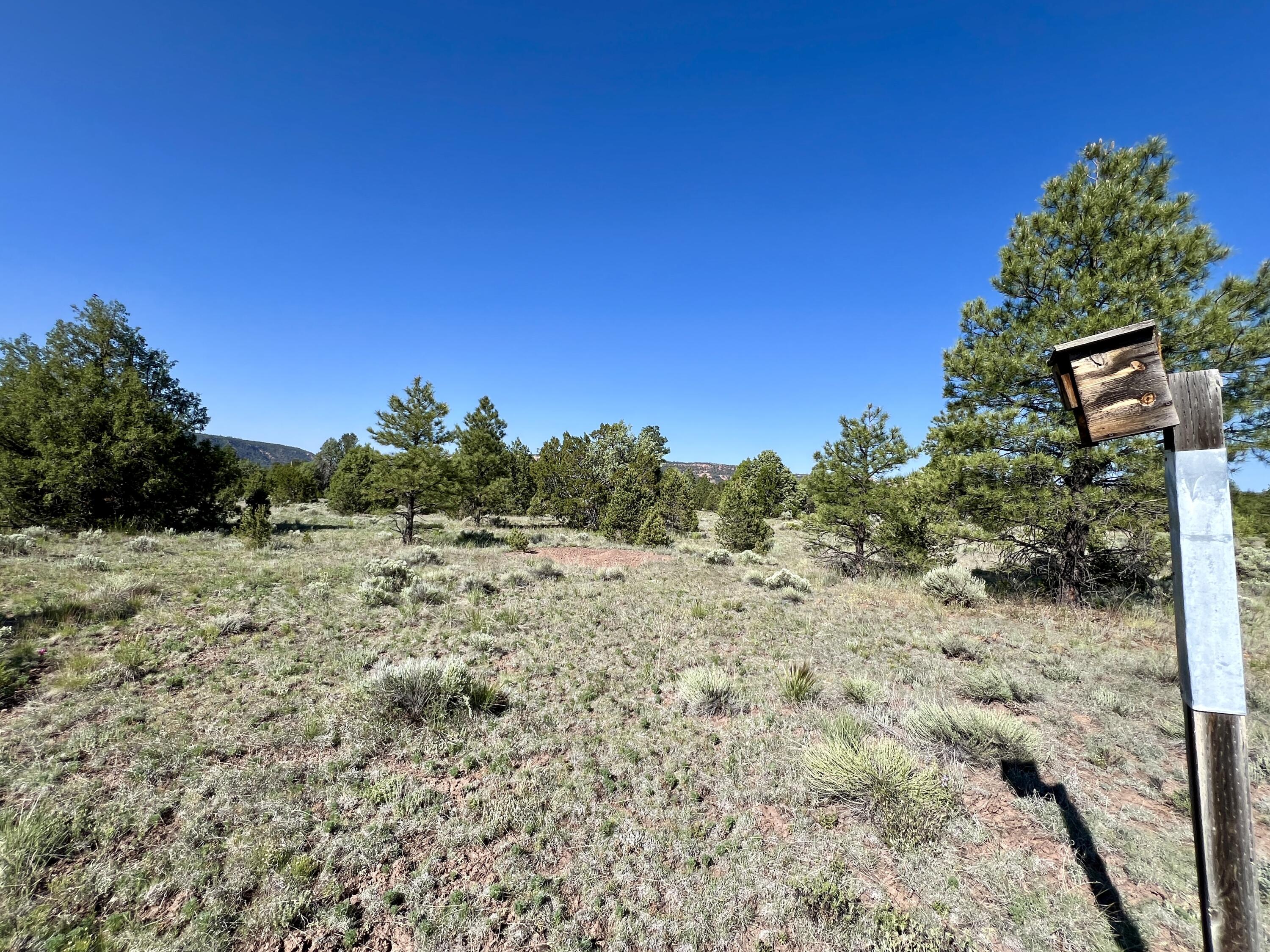 Lot 15 Buttonwood Drive, Ramah, New Mexico image 28