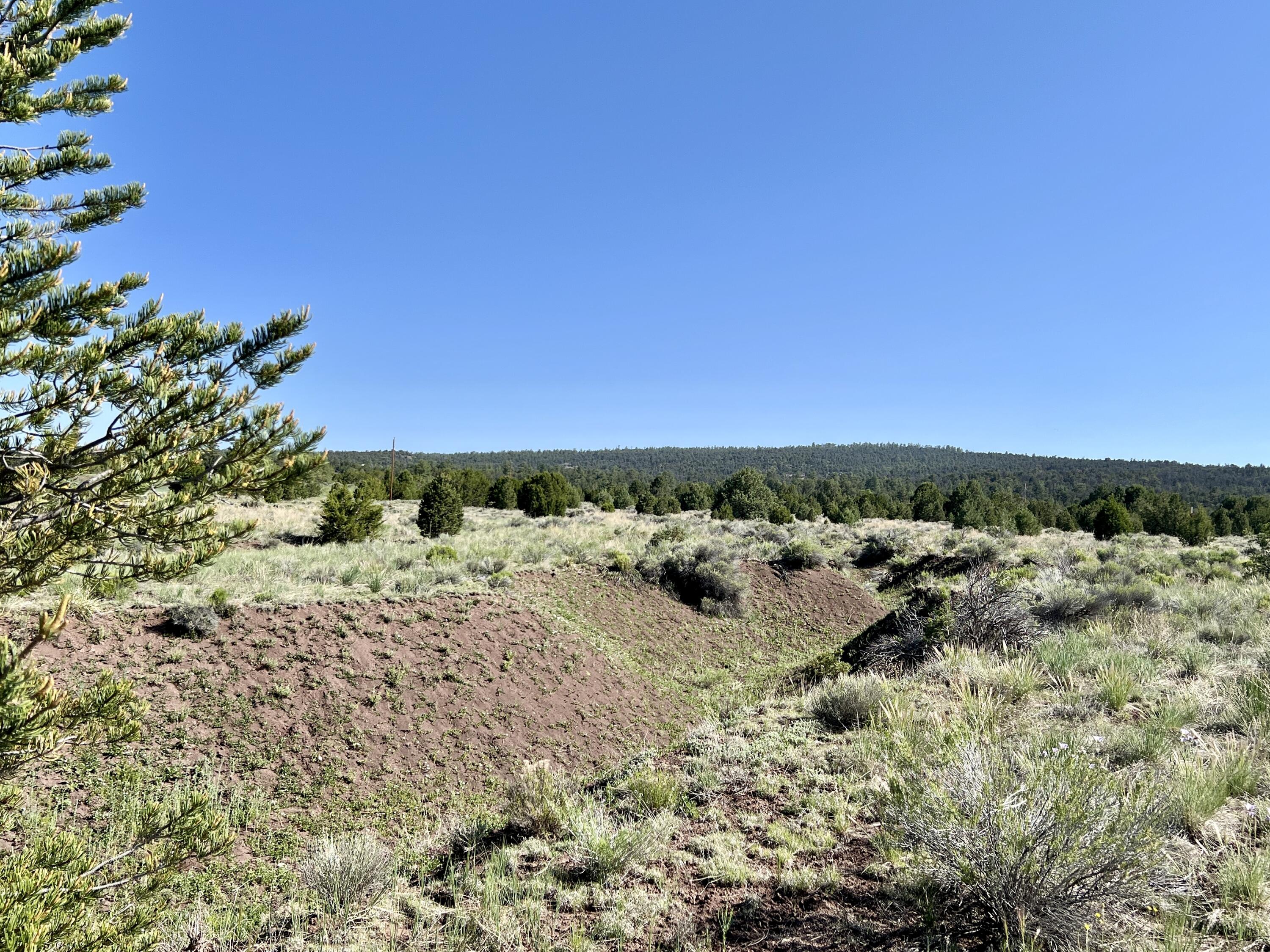 Lot 15 Buttonwood Drive, Ramah, New Mexico image 25