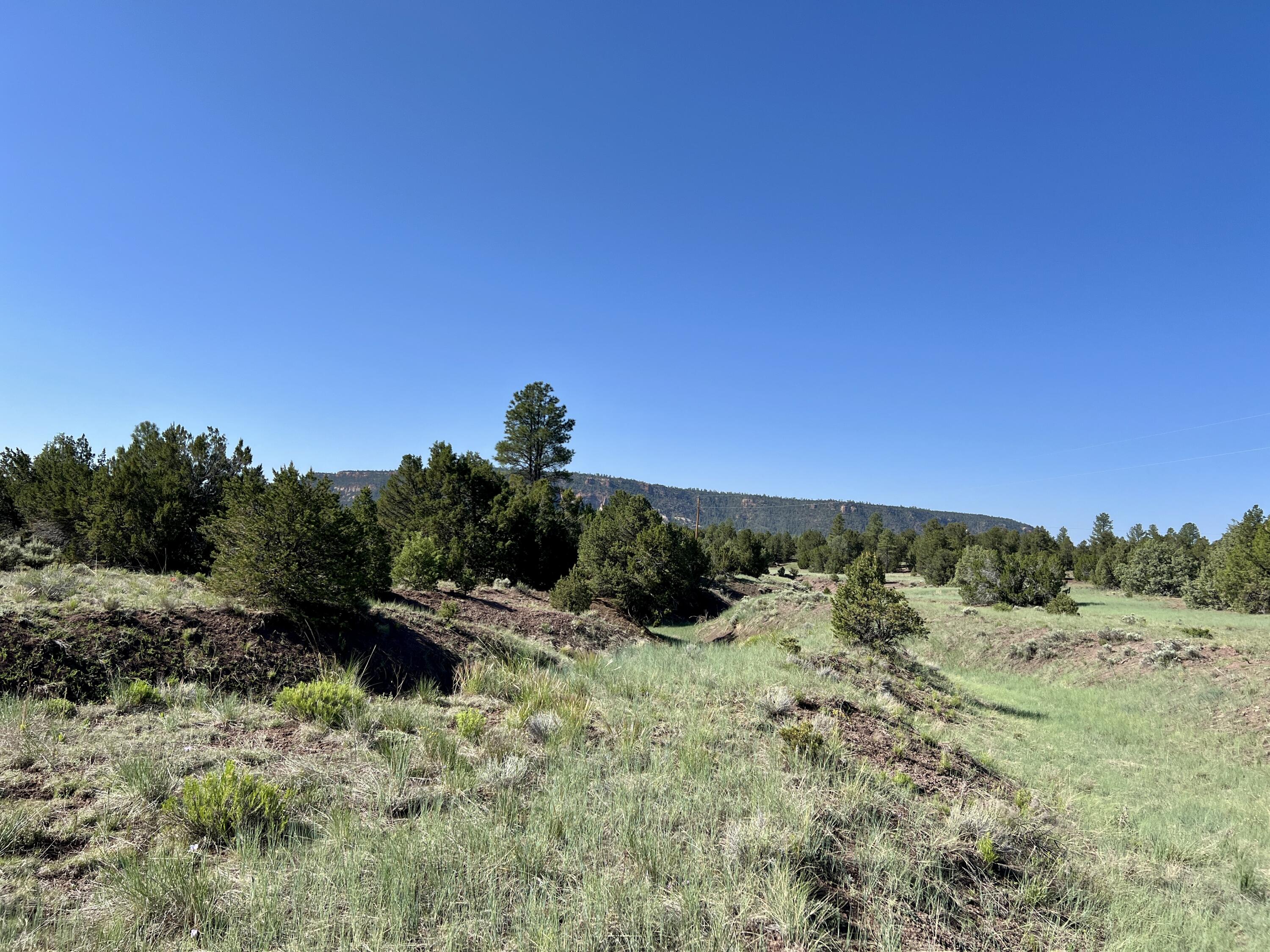 Lot 15 Buttonwood Drive, Ramah, New Mexico image 24