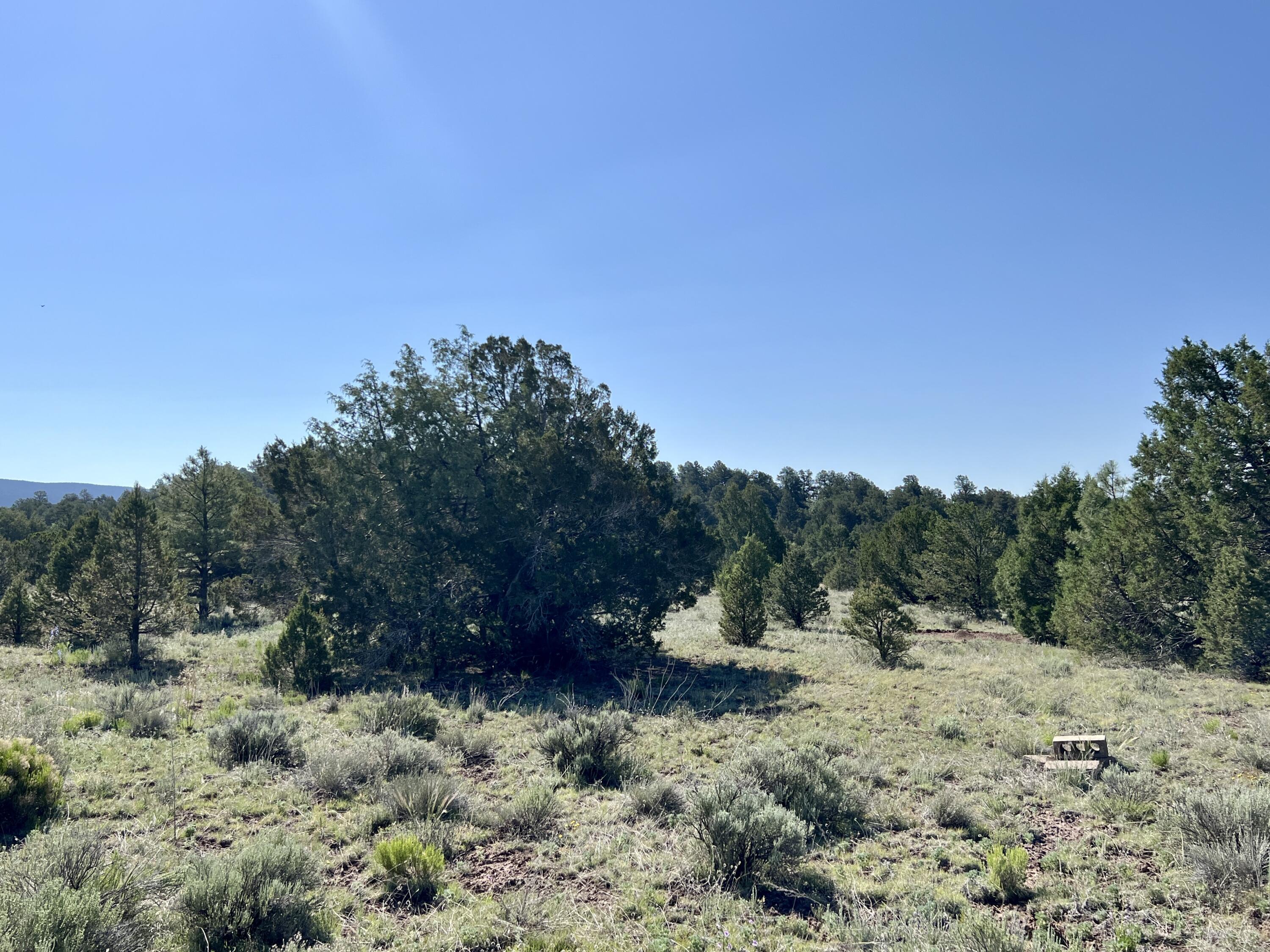 Lot 15 Buttonwood Drive, Ramah, New Mexico image 30