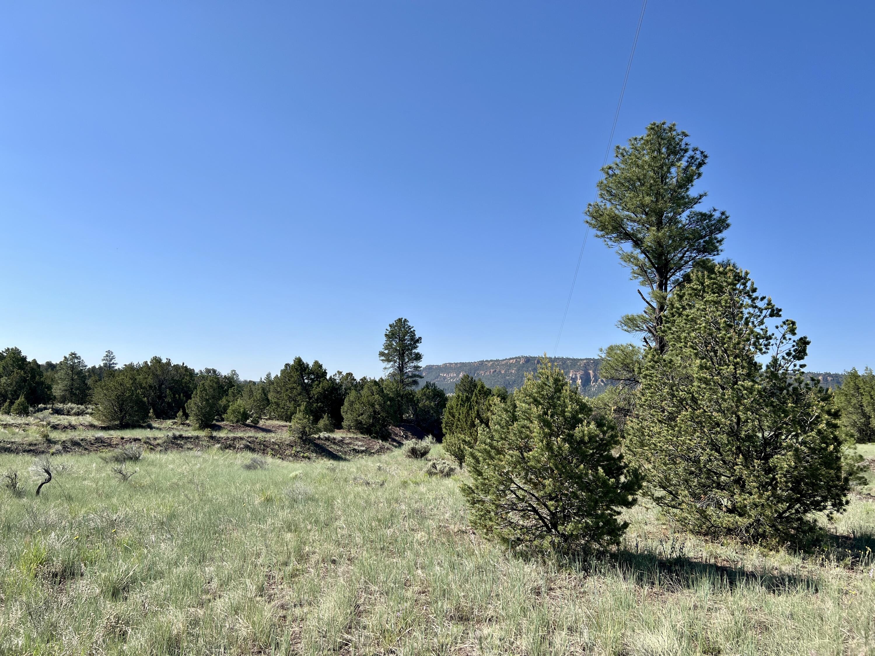 Lot 15 Buttonwood Drive, Ramah, New Mexico image 18