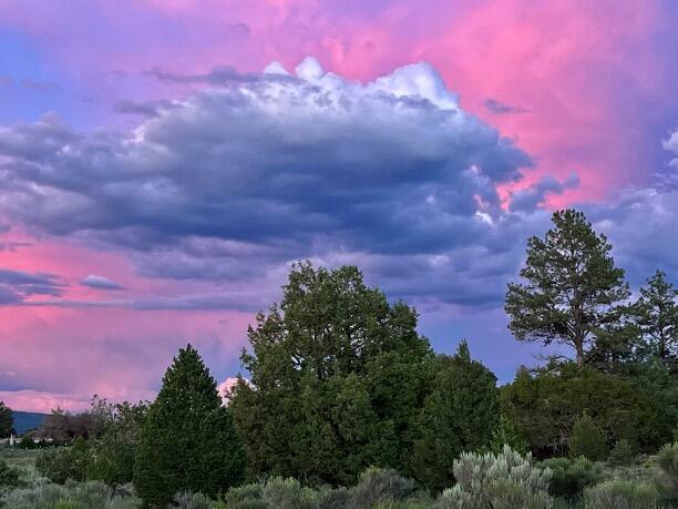 Lot 15 Buttonwood Drive, Ramah, New Mexico image 38