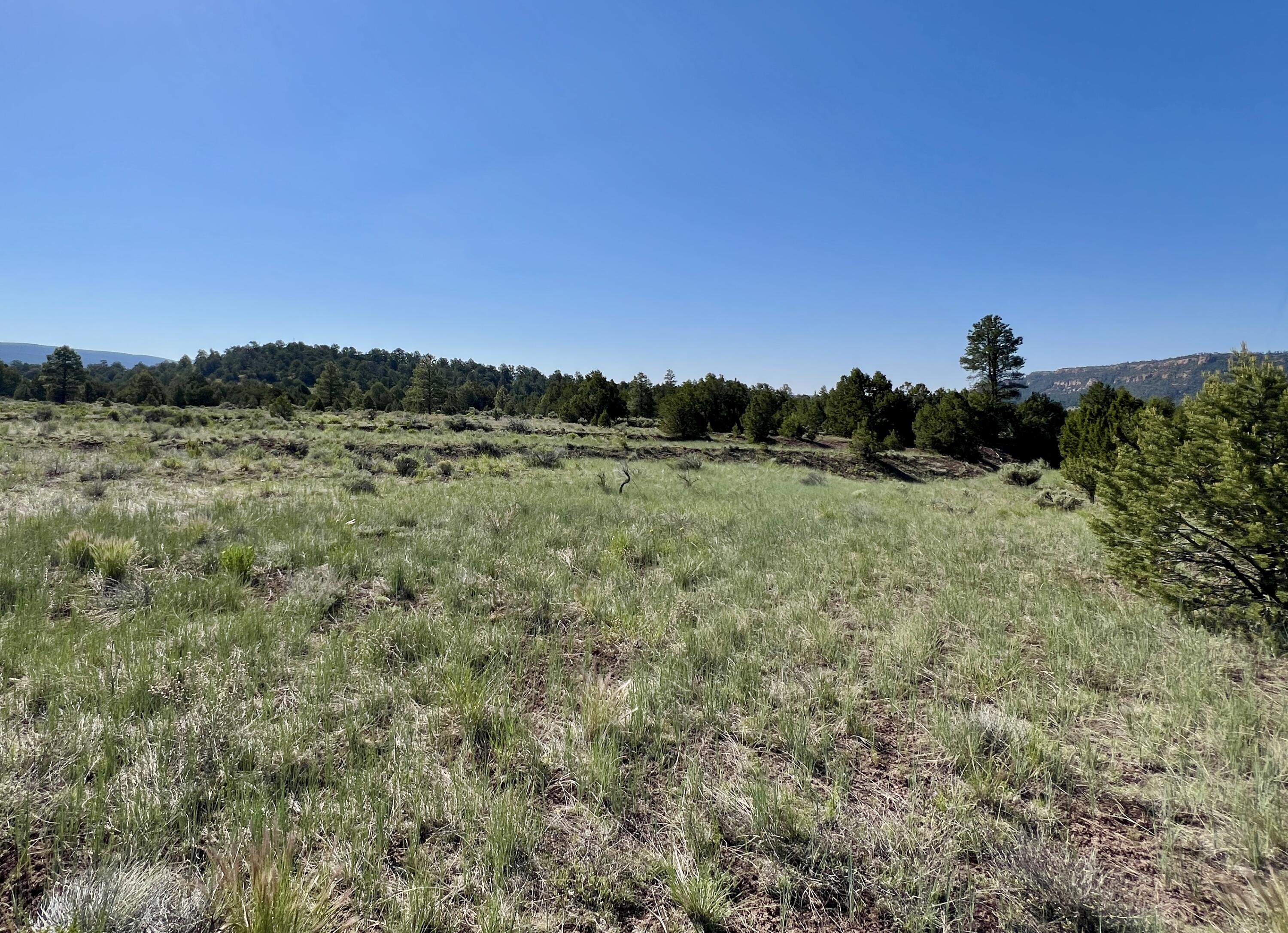 Lot 15 Buttonwood Drive, Ramah, New Mexico image 19