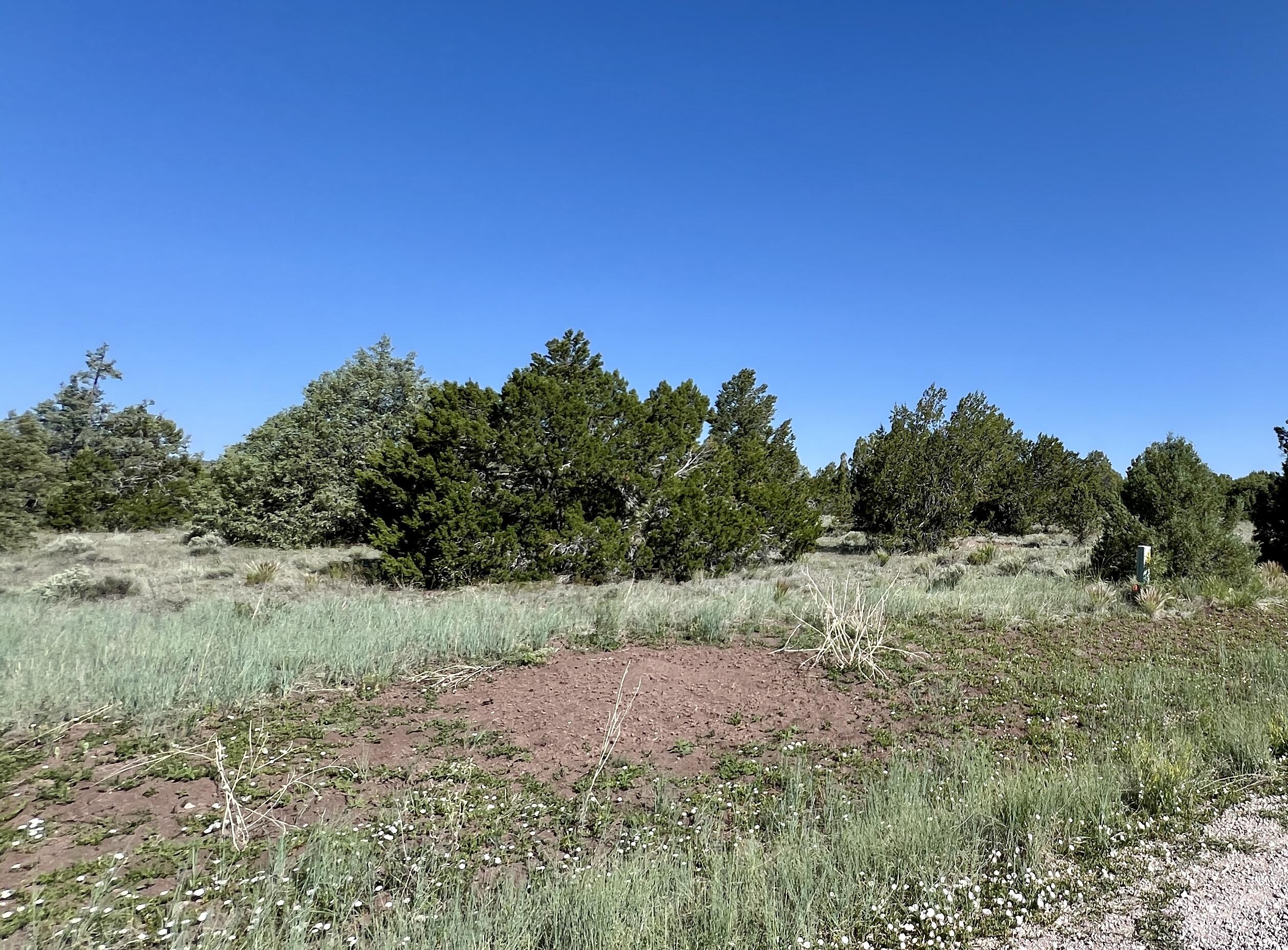 Lot 15 Buttonwood Drive, Ramah, New Mexico image 27