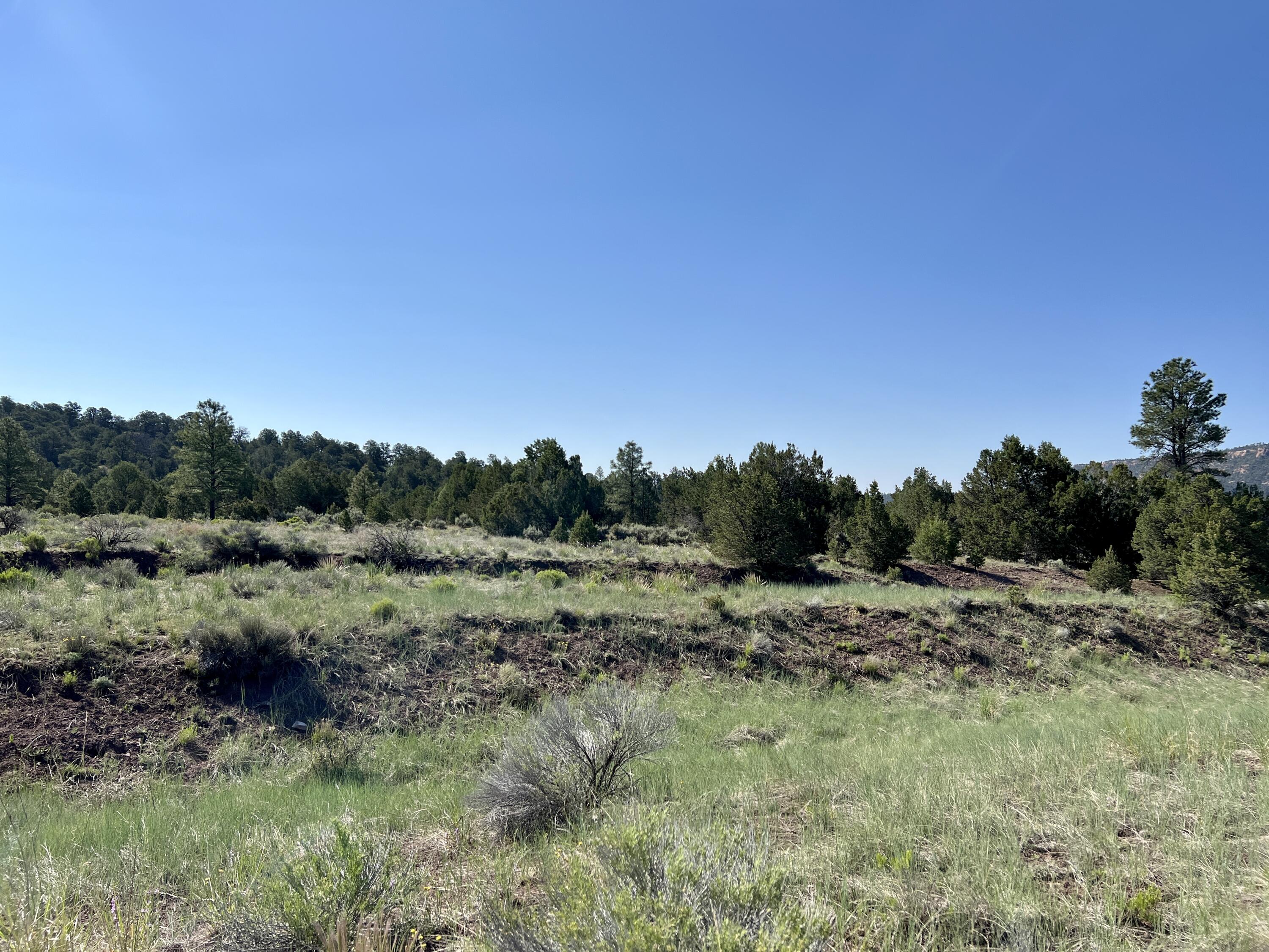 Lot 15 Buttonwood Drive, Ramah, New Mexico image 23