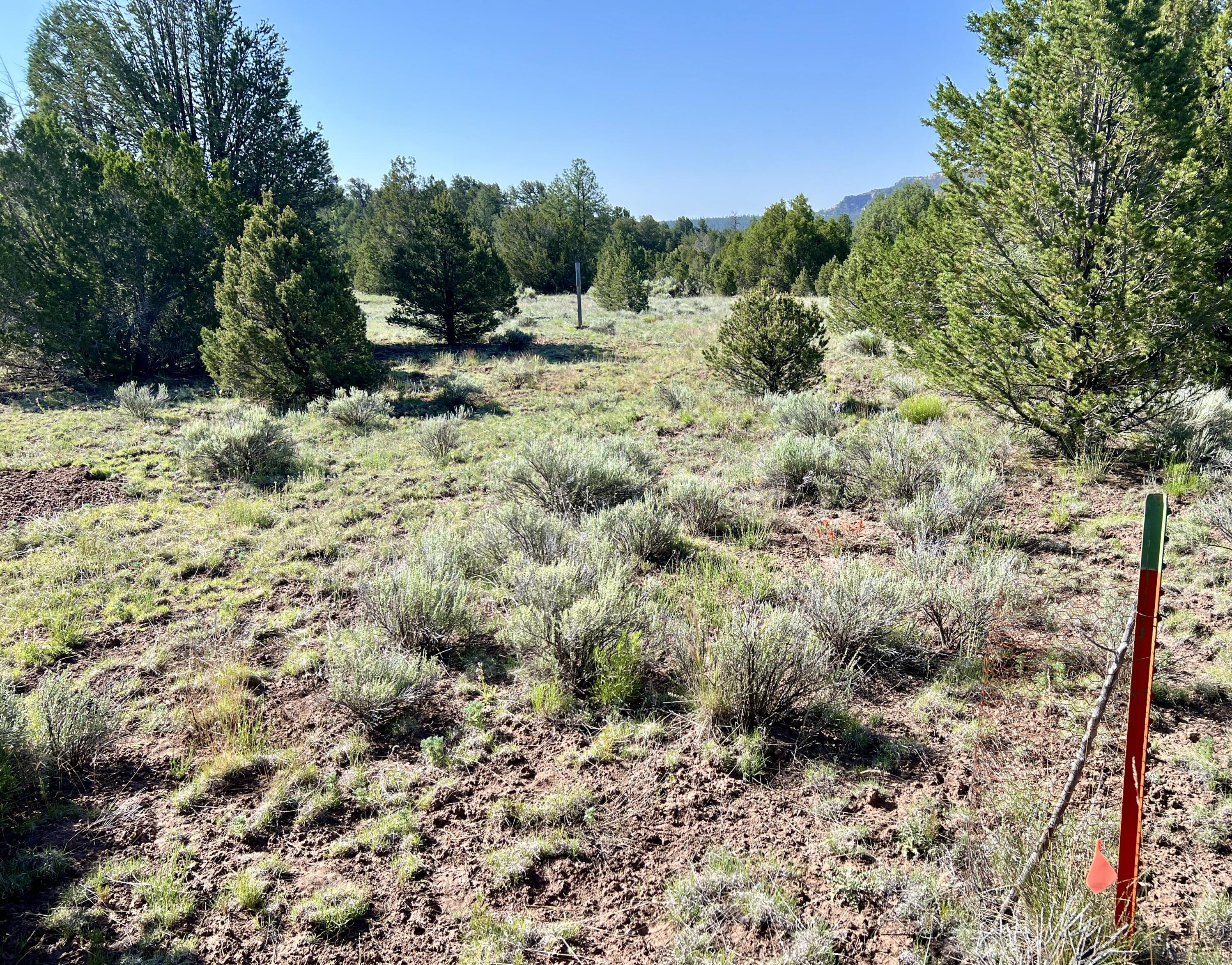 Lot 15 Buttonwood Drive, Ramah, New Mexico image 17