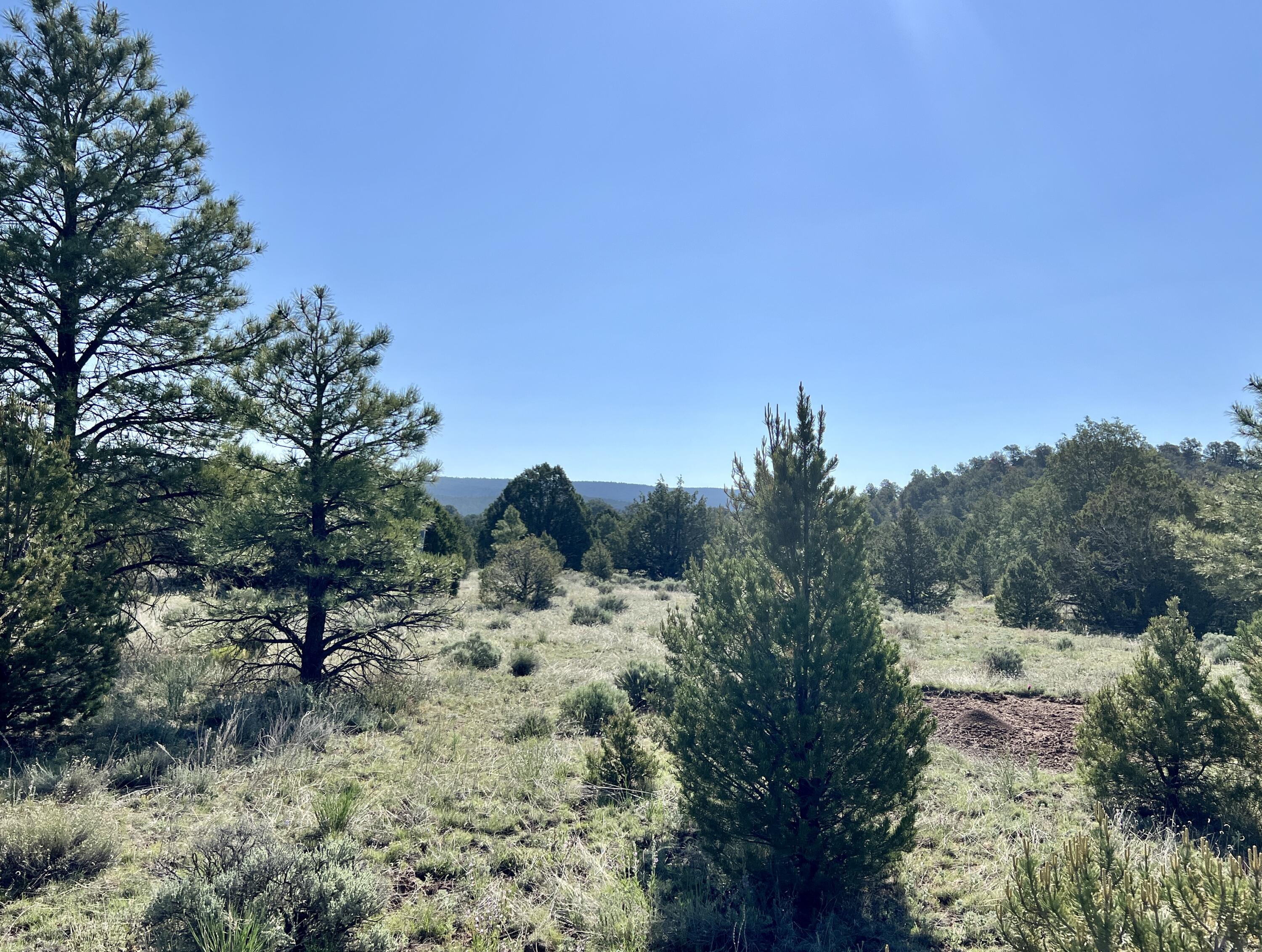 Lot 15 Buttonwood Drive, Ramah, New Mexico image 29