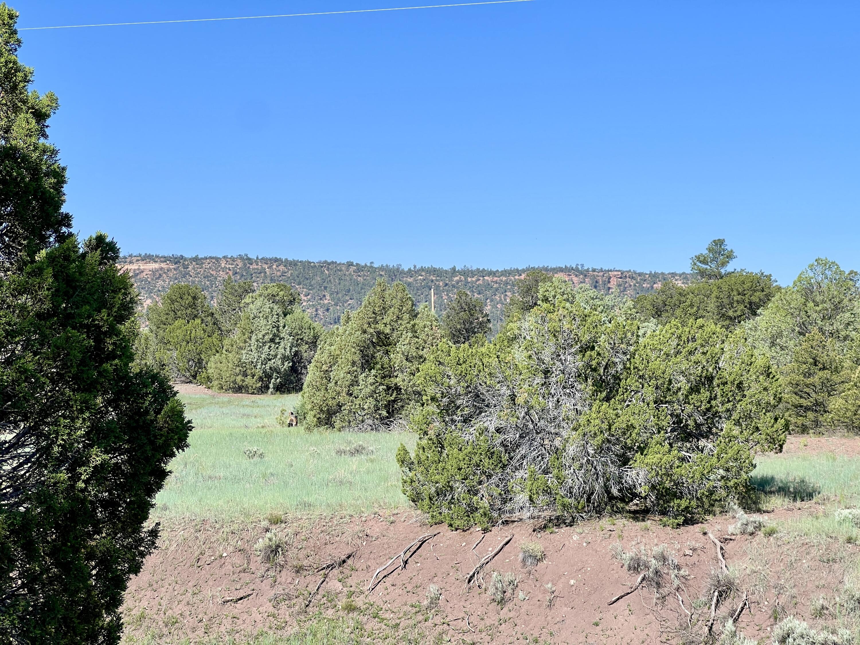 Lot 15 Buttonwood Drive, Ramah, New Mexico image 21