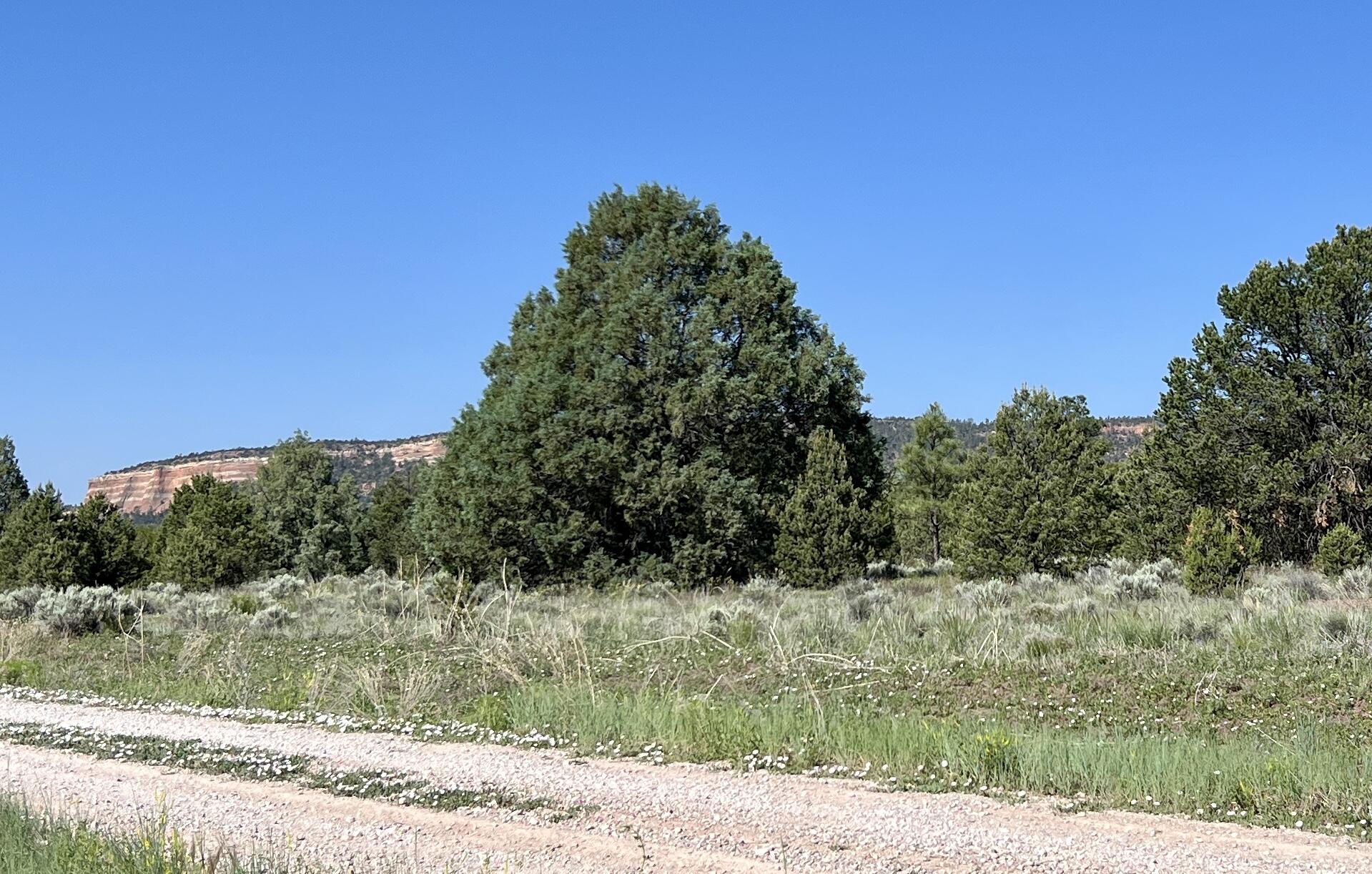 Lot 15 Buttonwood Drive, Ramah, New Mexico image 31