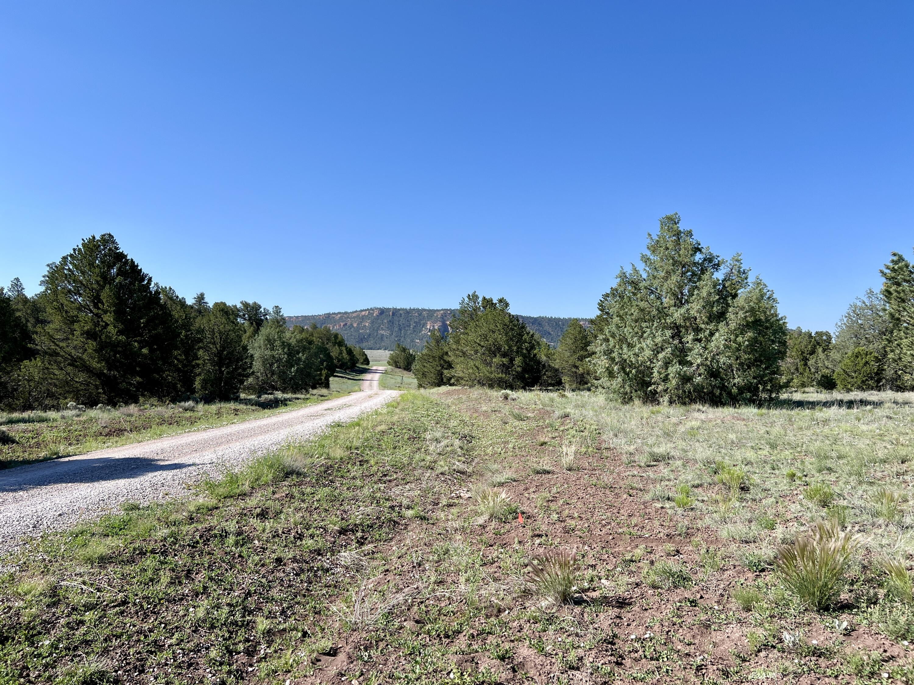 Lot 15 Buttonwood Drive, Ramah, New Mexico image 16