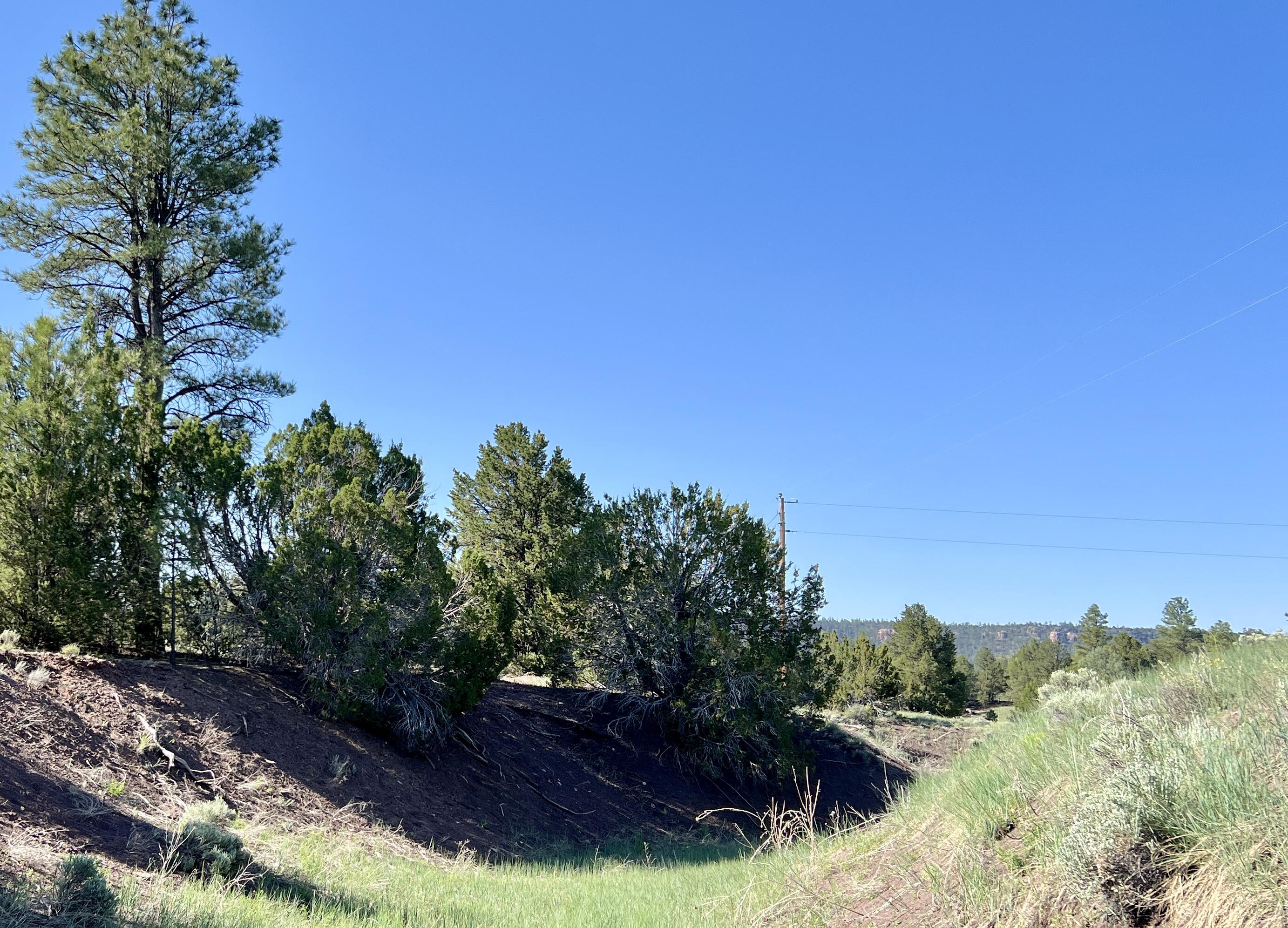 Lot 15 Buttonwood Drive, Ramah, New Mexico image 20