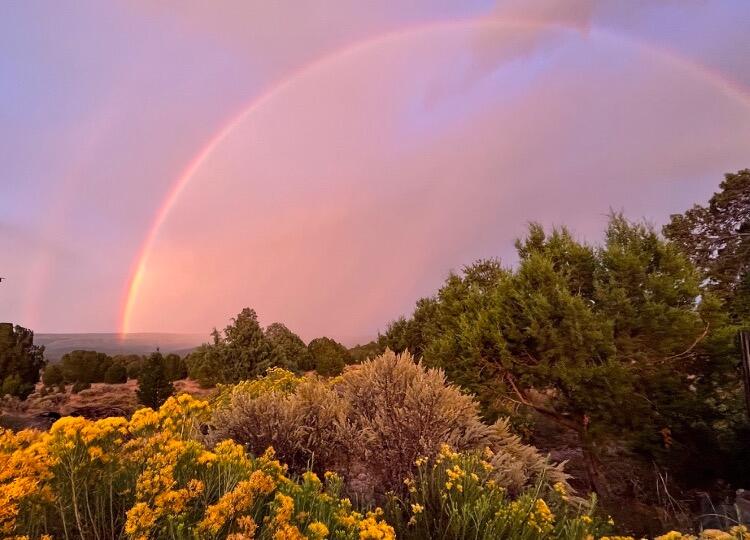 Lot 15 Buttonwood Drive, Ramah, New Mexico image 36