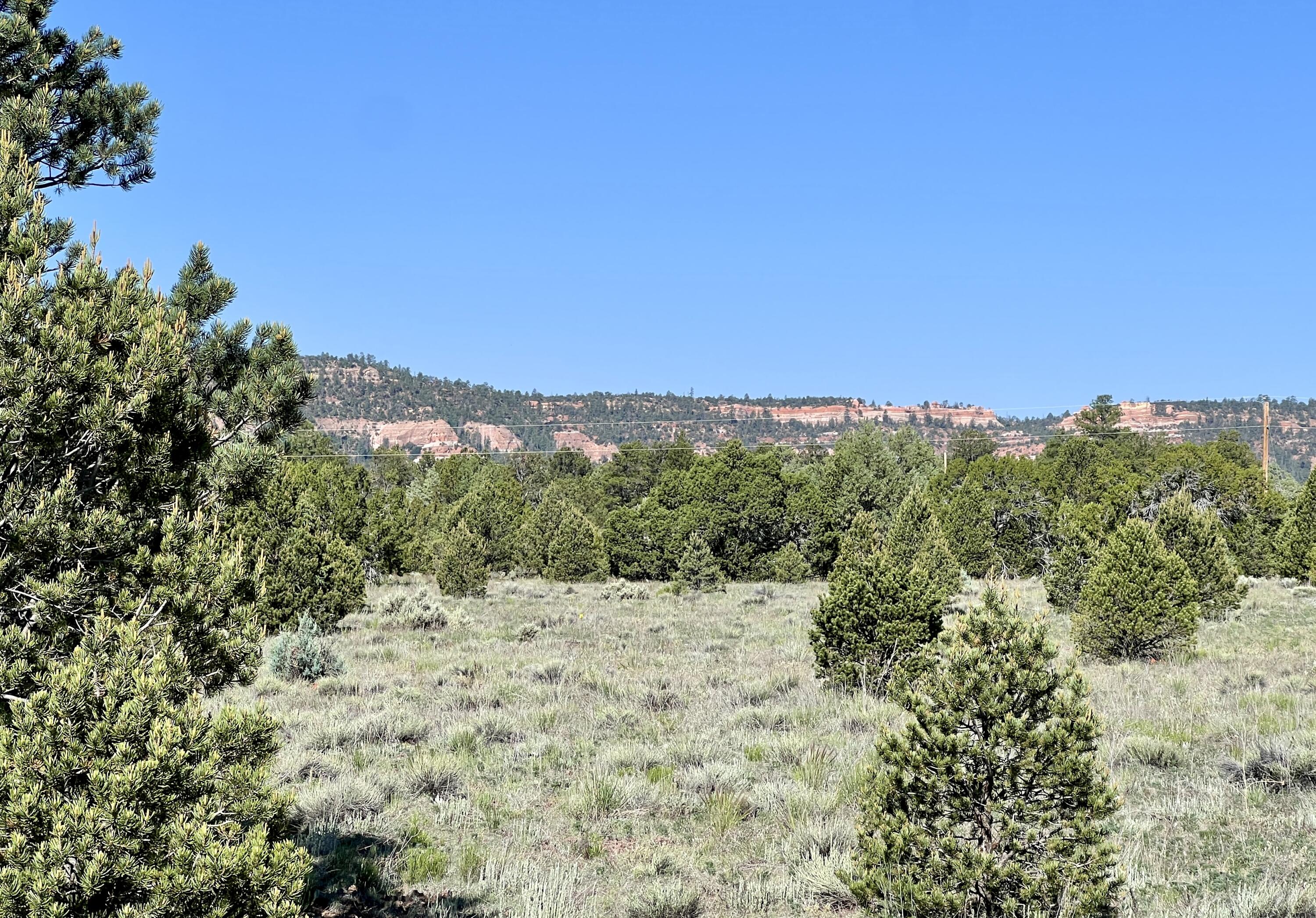 Lot 15 Buttonwood Drive, Ramah, New Mexico image 2