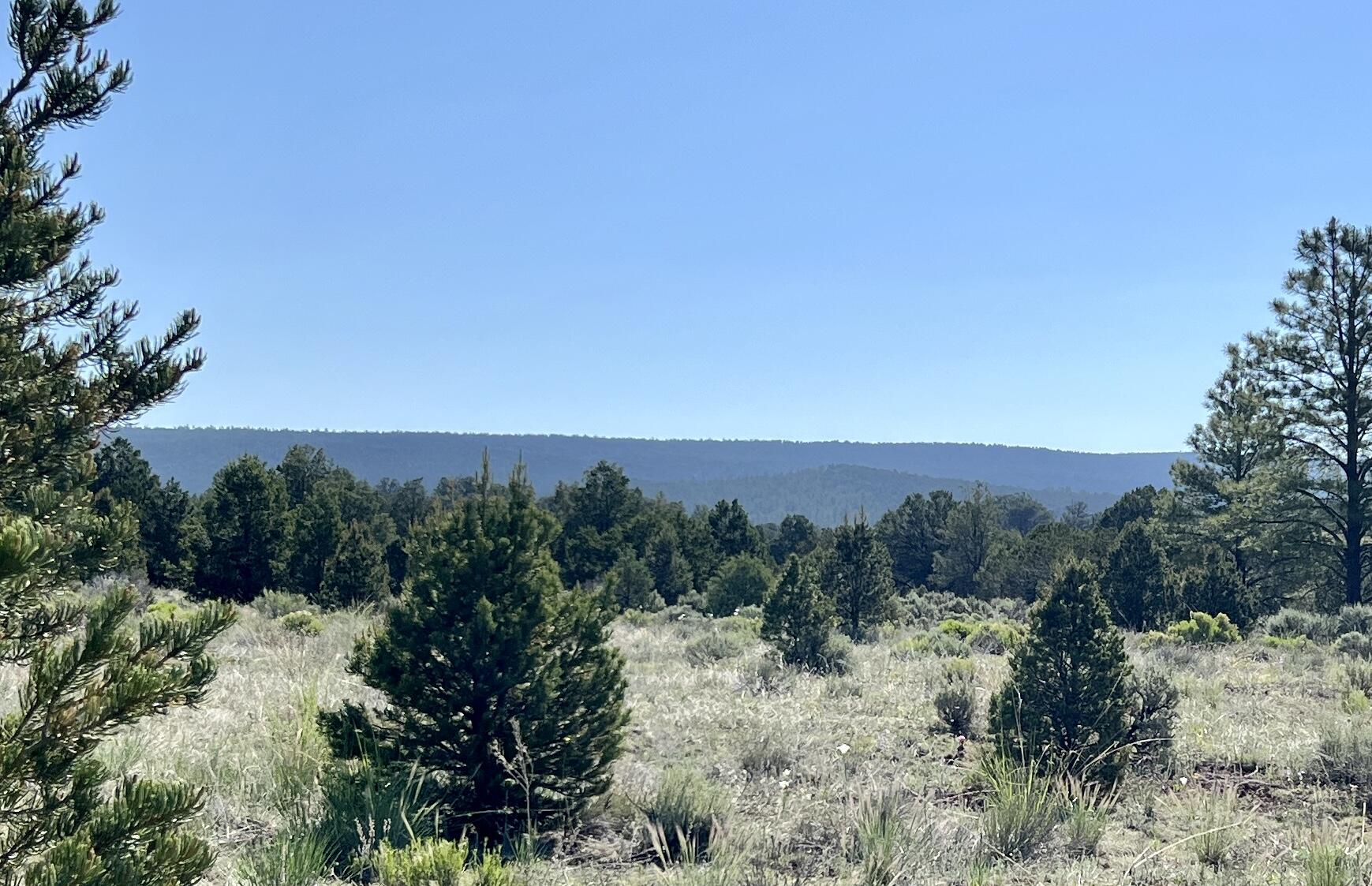 Lot 15 Buttonwood Drive, Ramah, New Mexico image 11