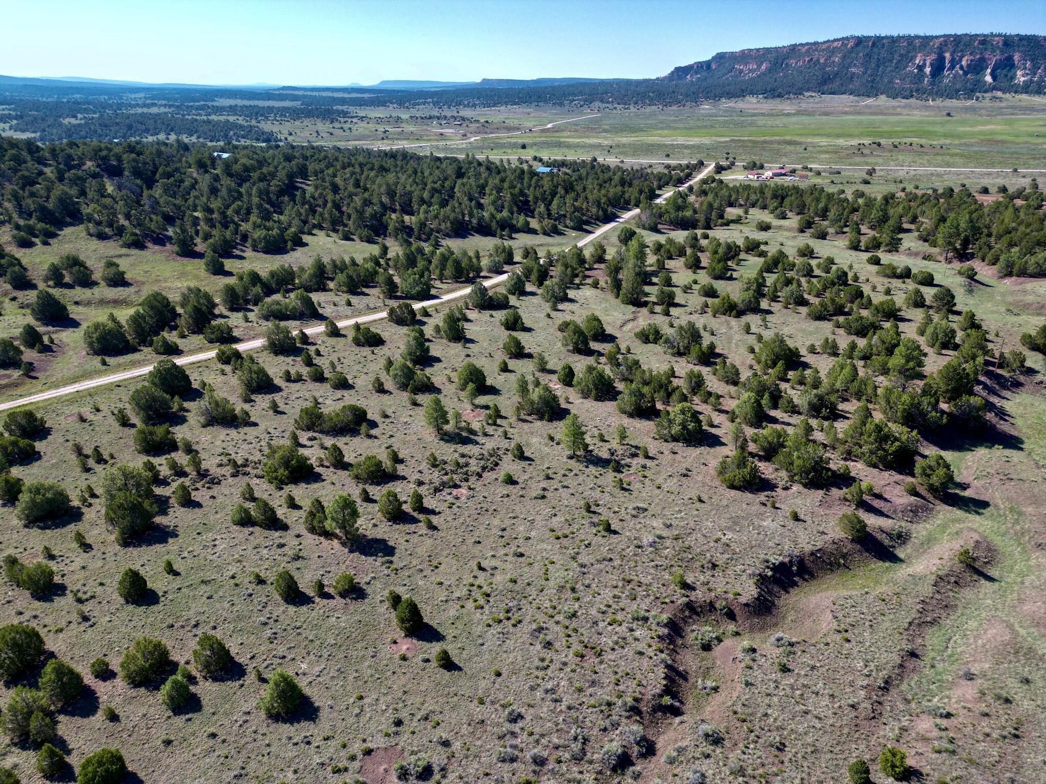 Lot 15 Buttonwood Drive, Ramah, New Mexico image 10