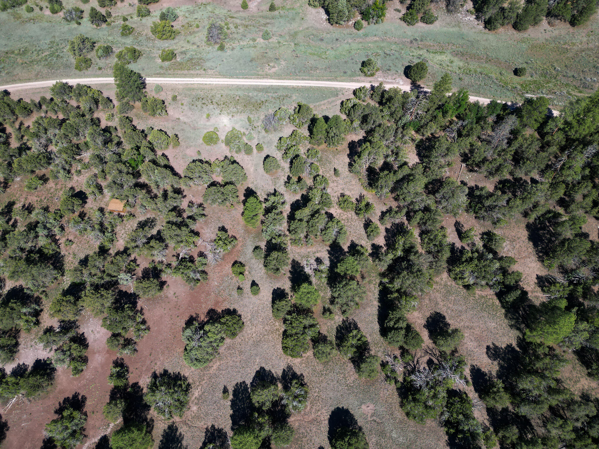 26 Sunflower Drive, Ramah, New Mexico image 9