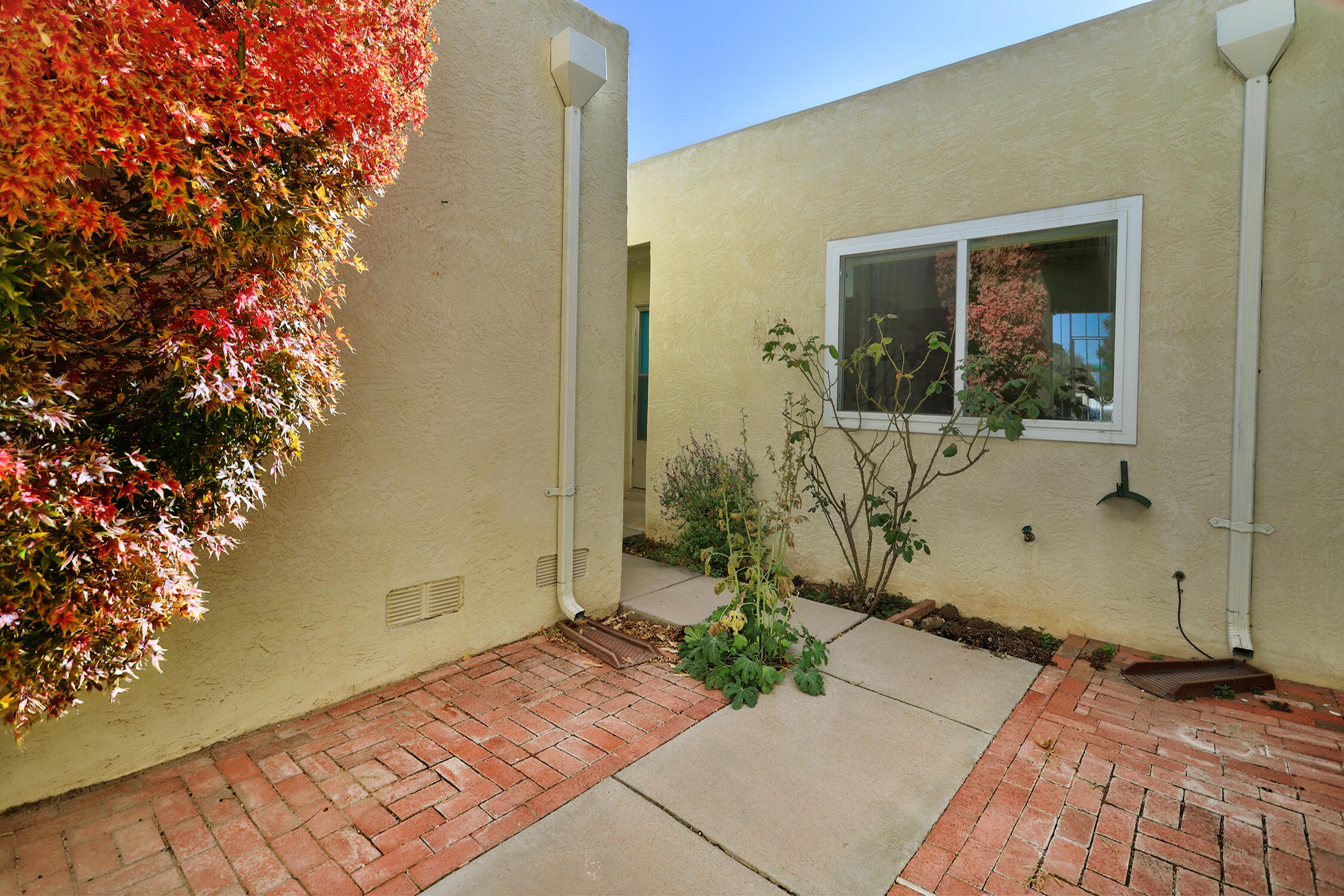 13128 Alice Avenue, Albuquerque, New Mexico image 3