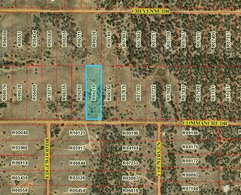 Vacant Land For Sale - LOT 380 Commanche Drive<br/> Ramah, NM 87321