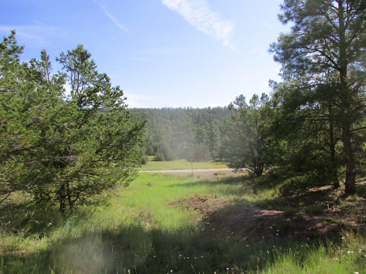 Lots 5 & 6 Black Bear Road, Ramah, New Mexico image 22