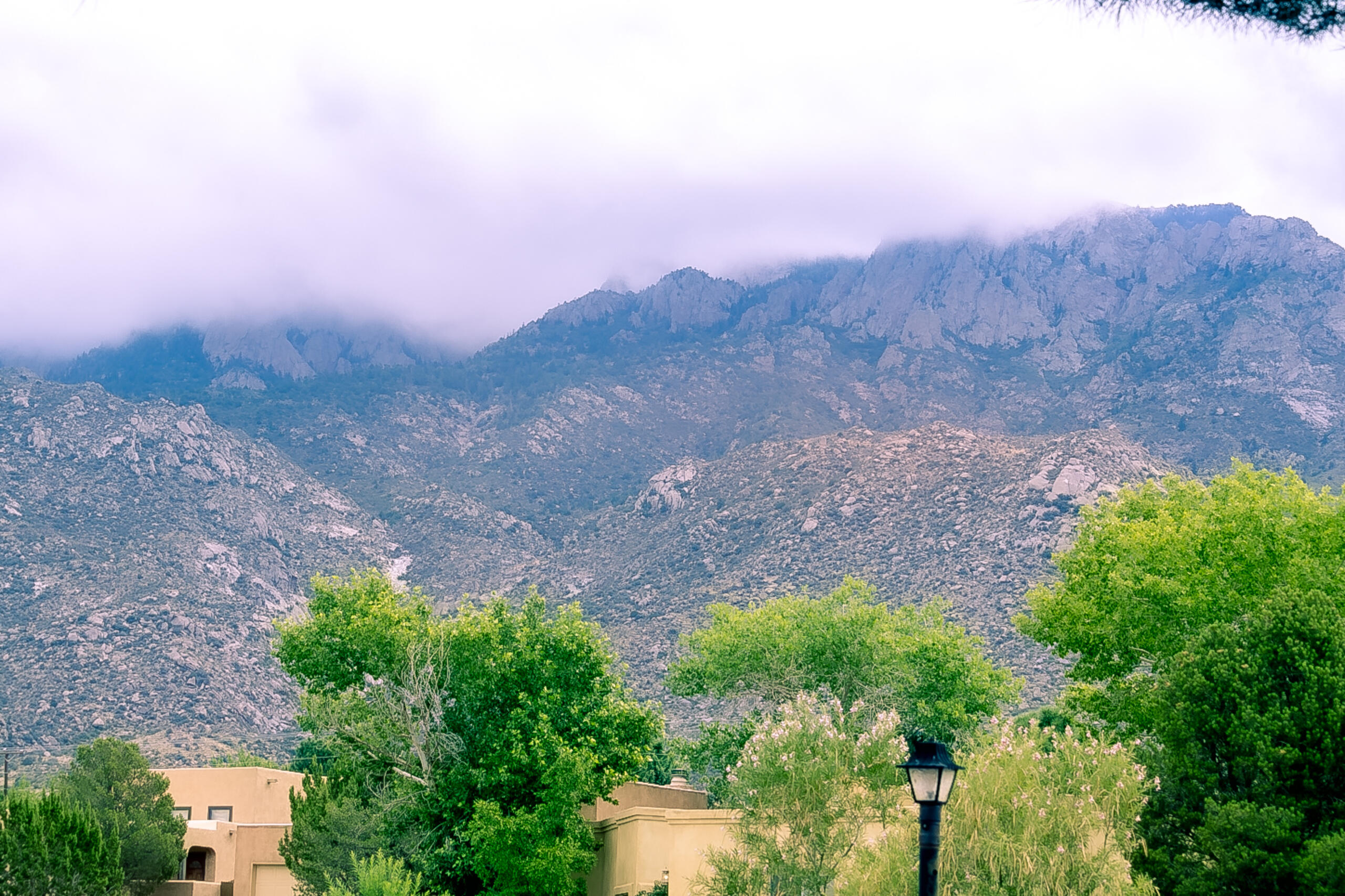 2802 Tramway Circle, Albuquerque, New Mexico image 28
