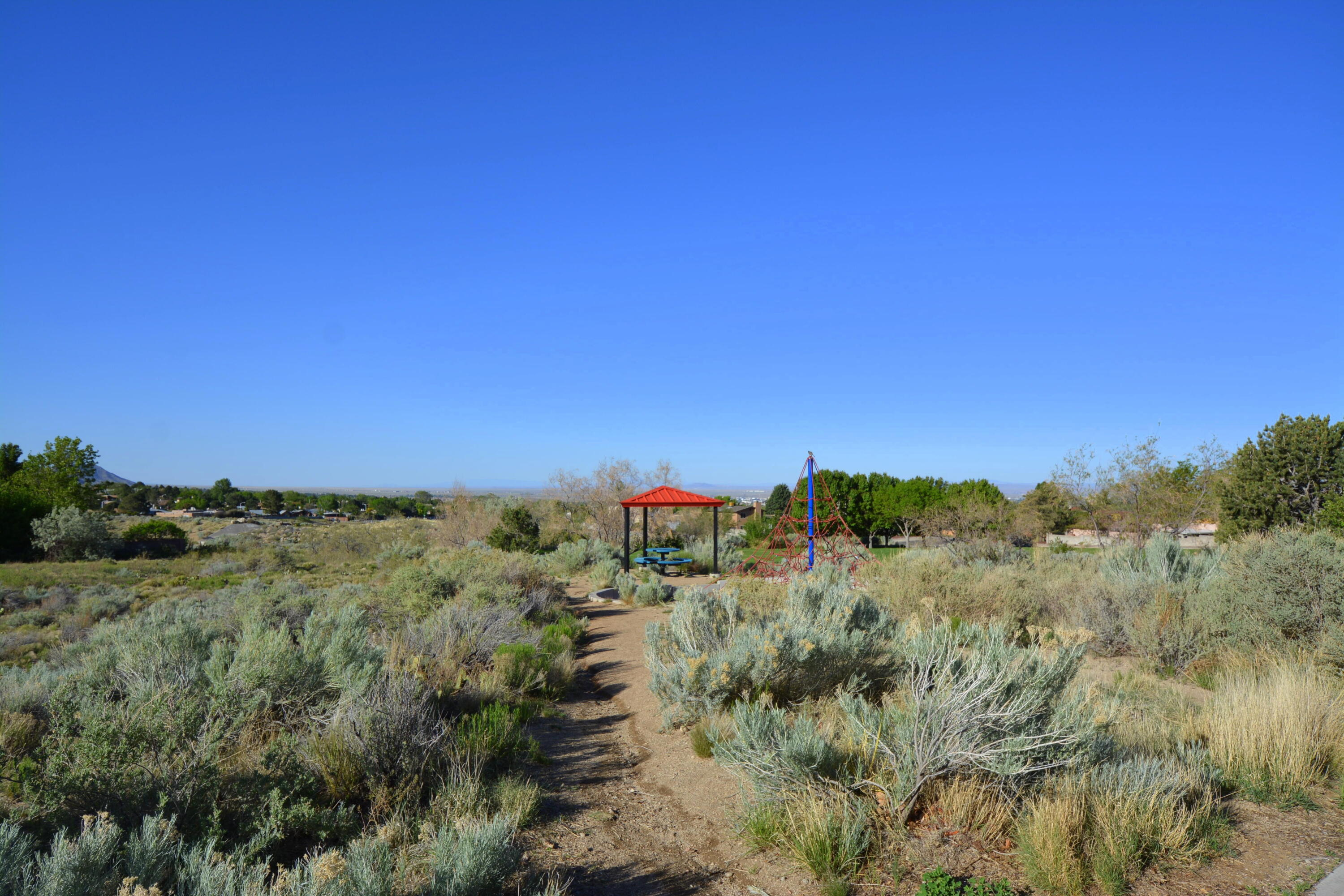 1405 Nemesia Place, Albuquerque, New Mexico image 31