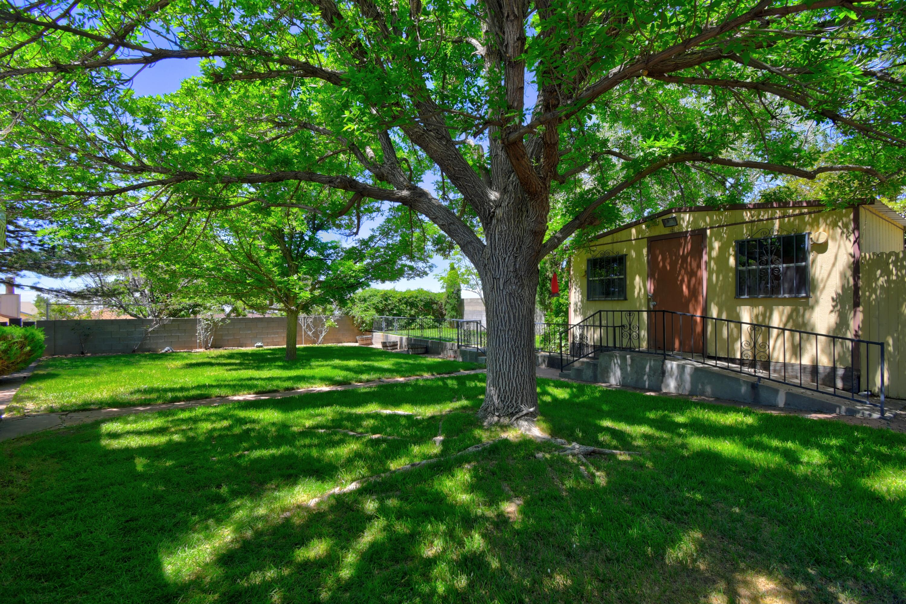 1405 Nemesia Place, Albuquerque, New Mexico image 24