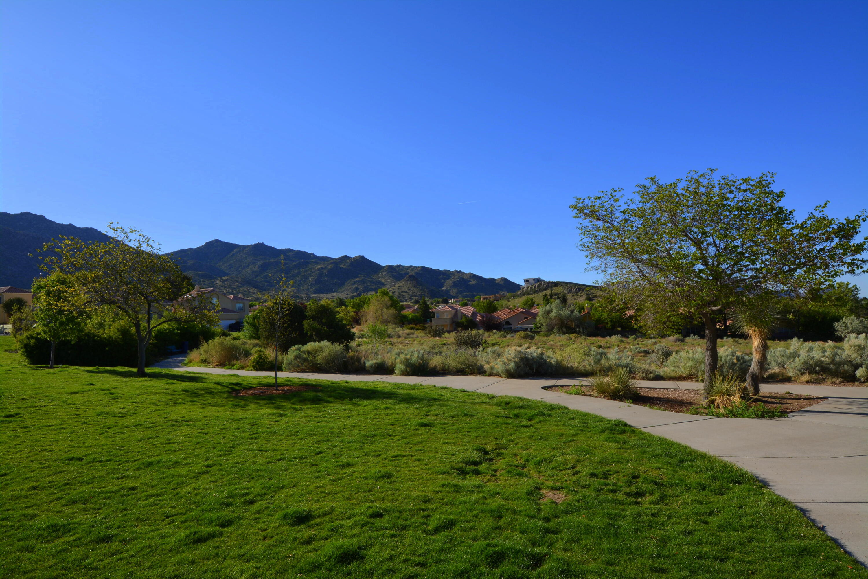 1405 Nemesia Place, Albuquerque, New Mexico image 30