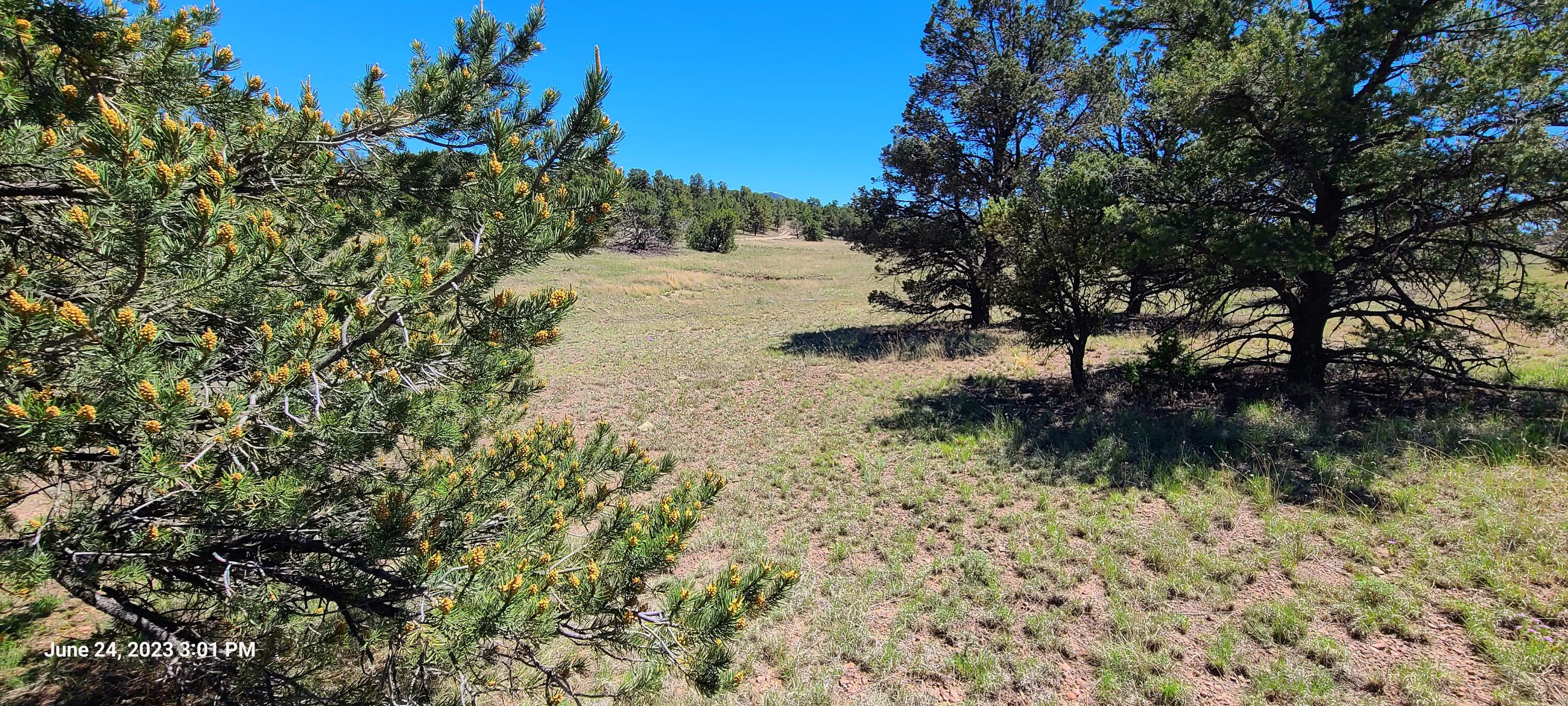 Lot 5 Old Thomas Place Unit, Datil, New Mexico image 18