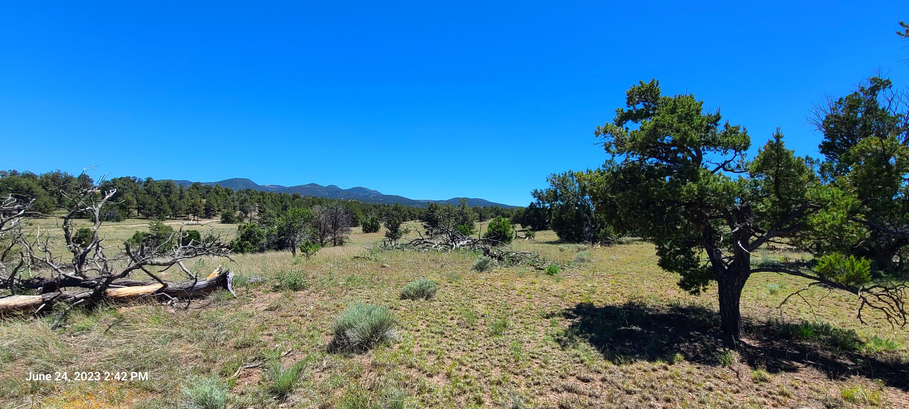 Lot 5 Old Thomas Place Unit, Datil, New Mexico image 11