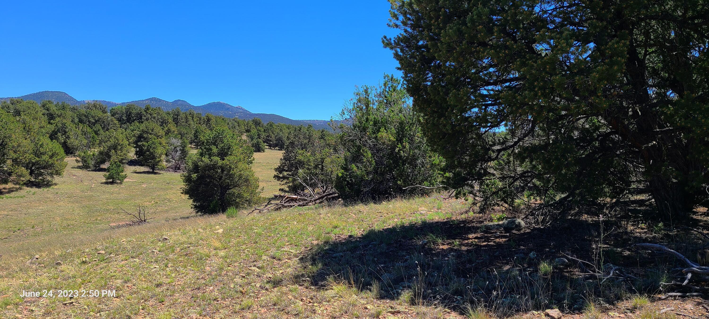 Lot 5 Old Thomas Place Unit, Datil, New Mexico image 13