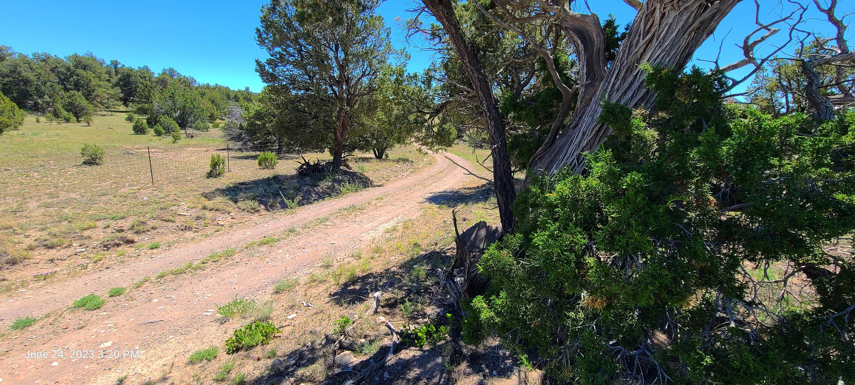 Lot 5 Old Thomas Place Unit, Datil, New Mexico image 23