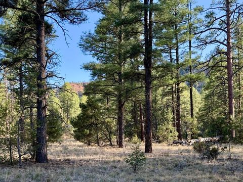 Vacant Land For Sale - R211158 County Road 12 / Box S Rd<br/> Ramah, NM 87321