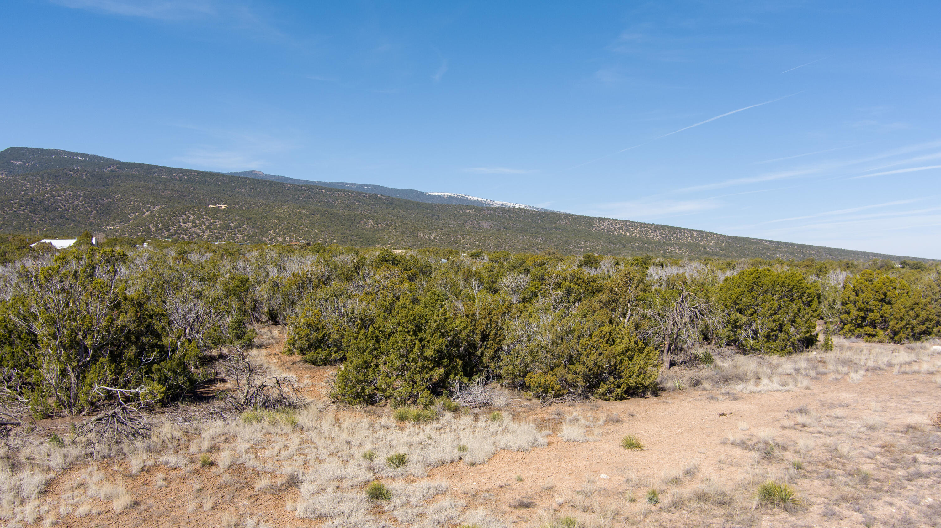 Gunsmoke Road, Sandia Park, New Mexico image 3