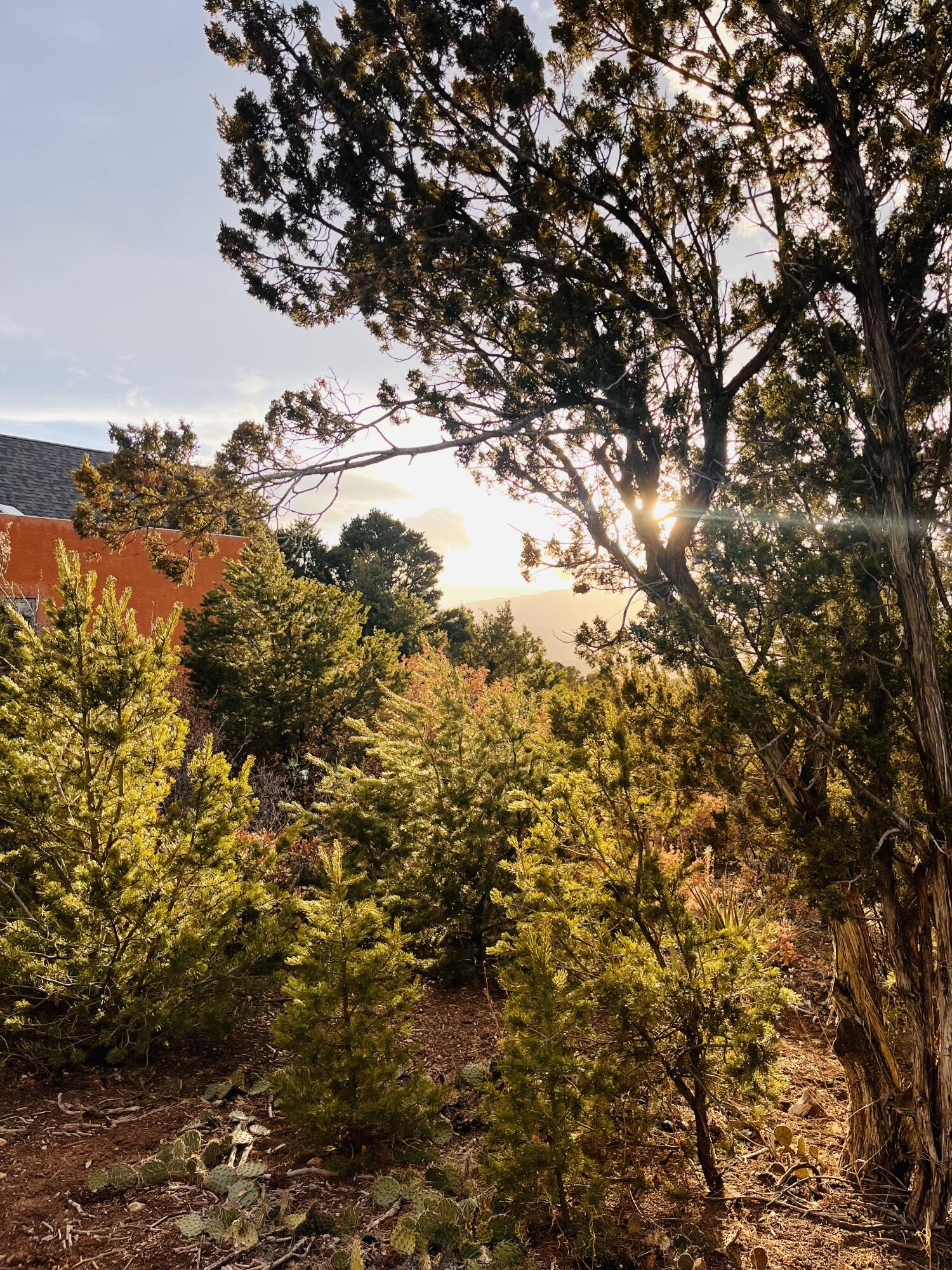 86 Angeles Vista Circle, Sandia Park, New Mexico image 44