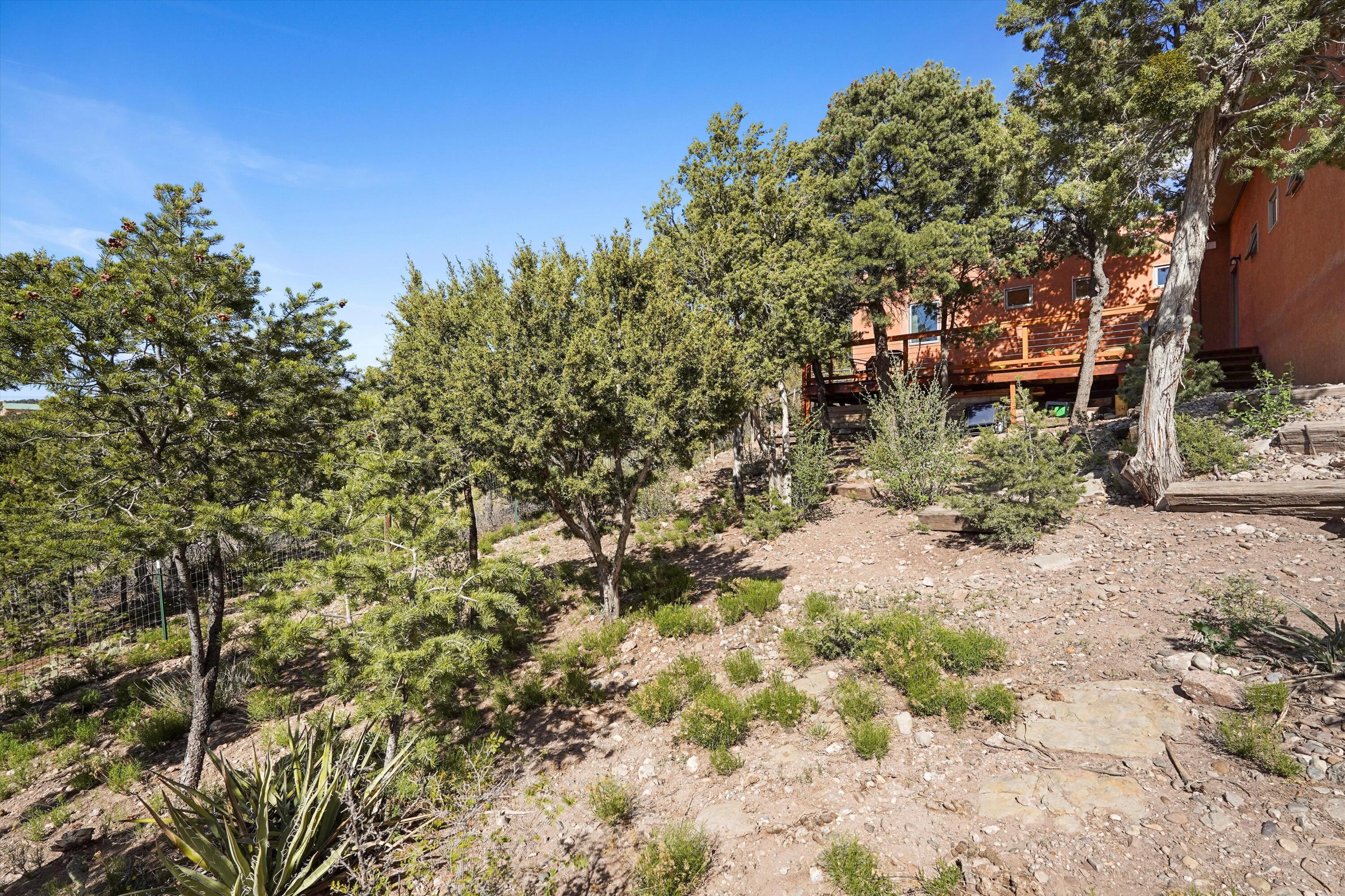 86 Angeles Vista Circle, Sandia Park, New Mexico image 36