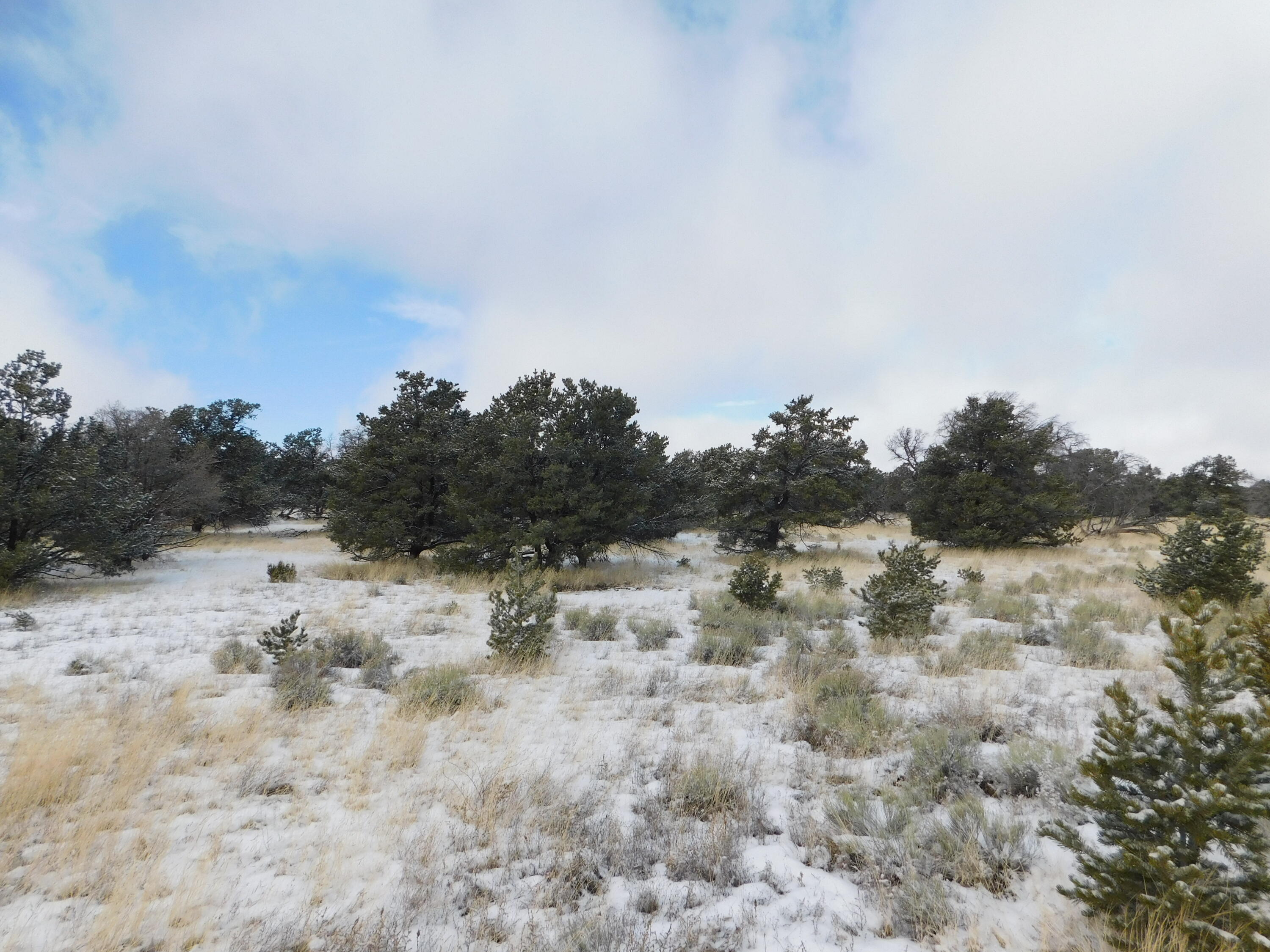 Lot 70 Creekside Drive, Quemado, New Mexico image 16