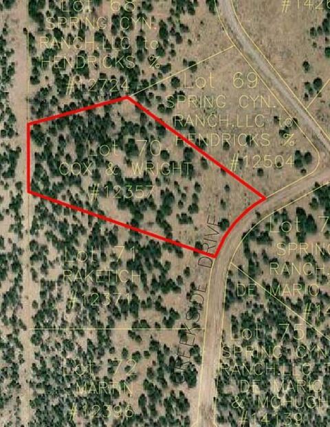 Vacant Land For Sale - LOT 70 Creekside Drive<br/> Catron County, Quemado, NM 87829