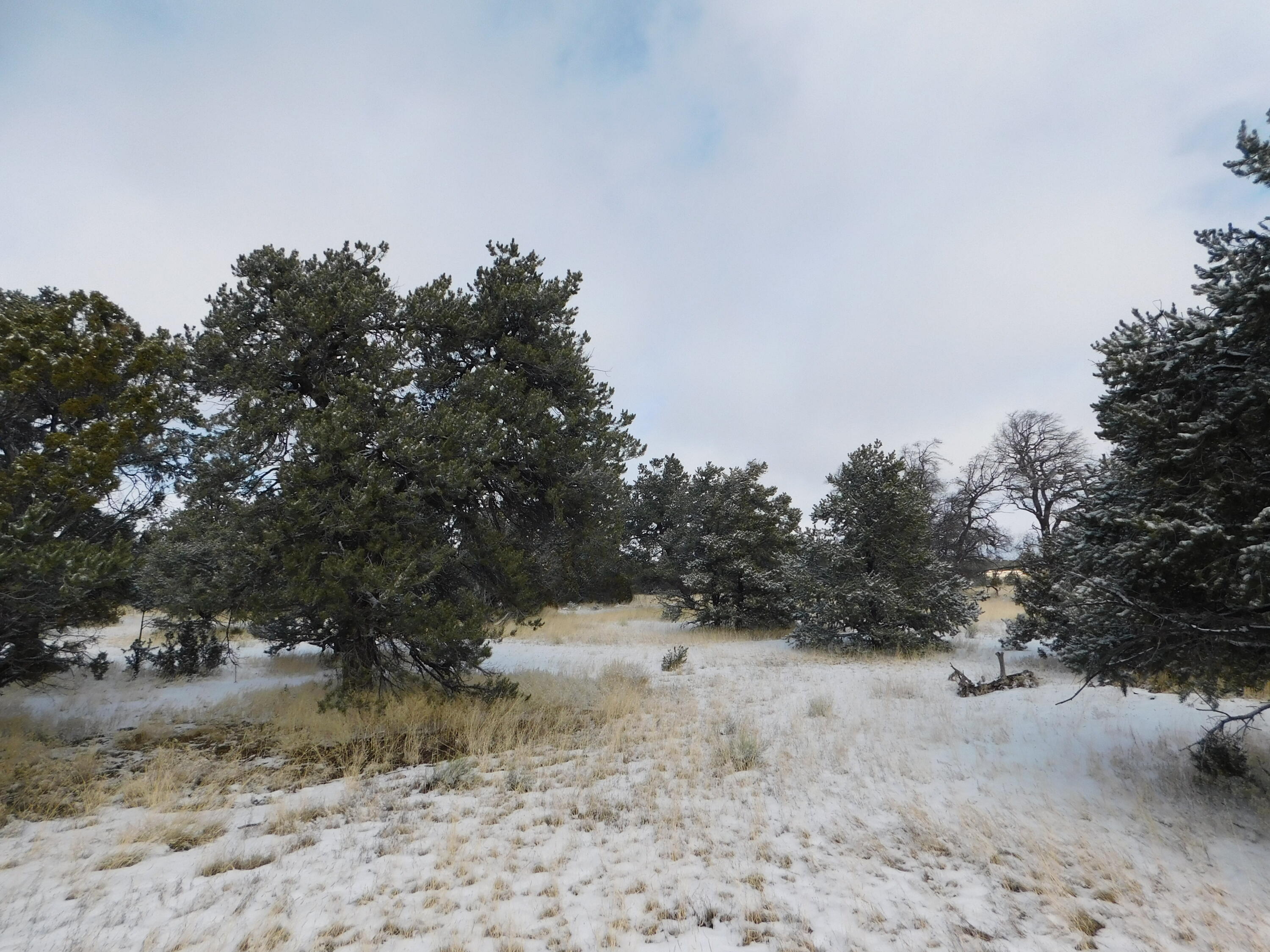 Lot 70 Creekside Drive, Quemado, New Mexico image 18