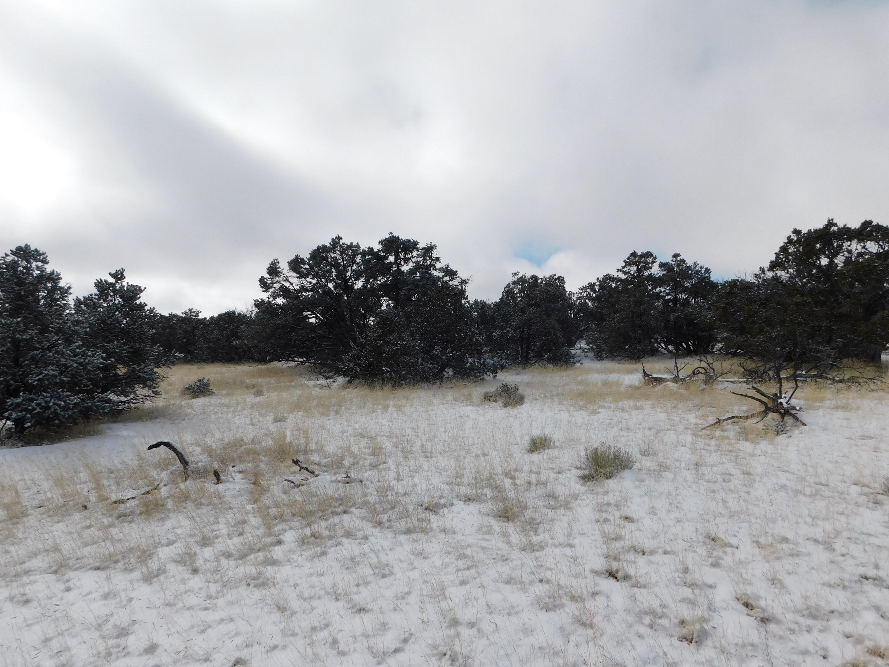 Lot 70 Creekside Drive, Quemado, New Mexico image 21