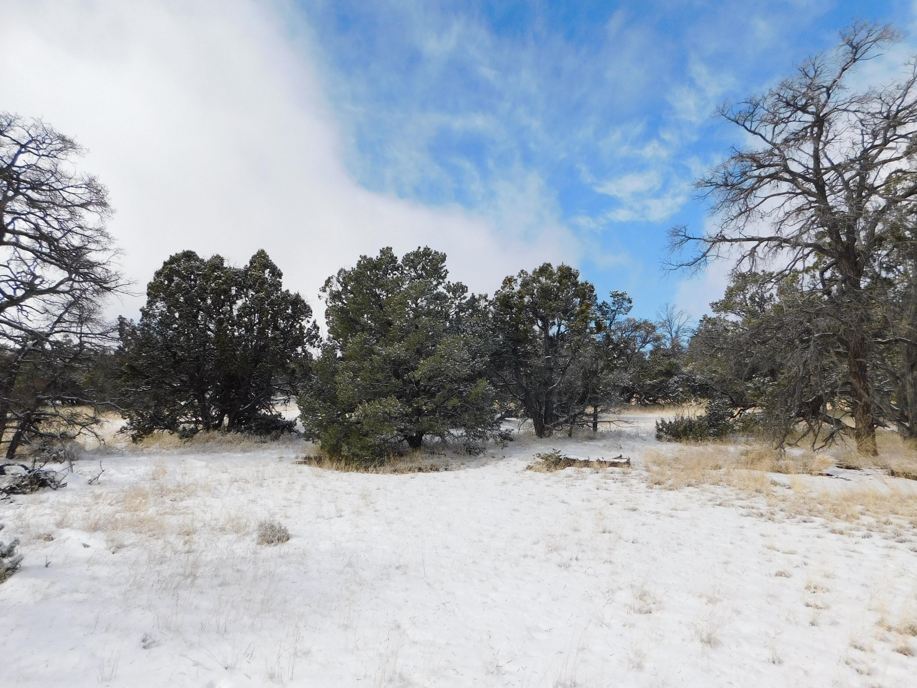 Lot 70 Creekside Drive, Quemado, New Mexico image 20