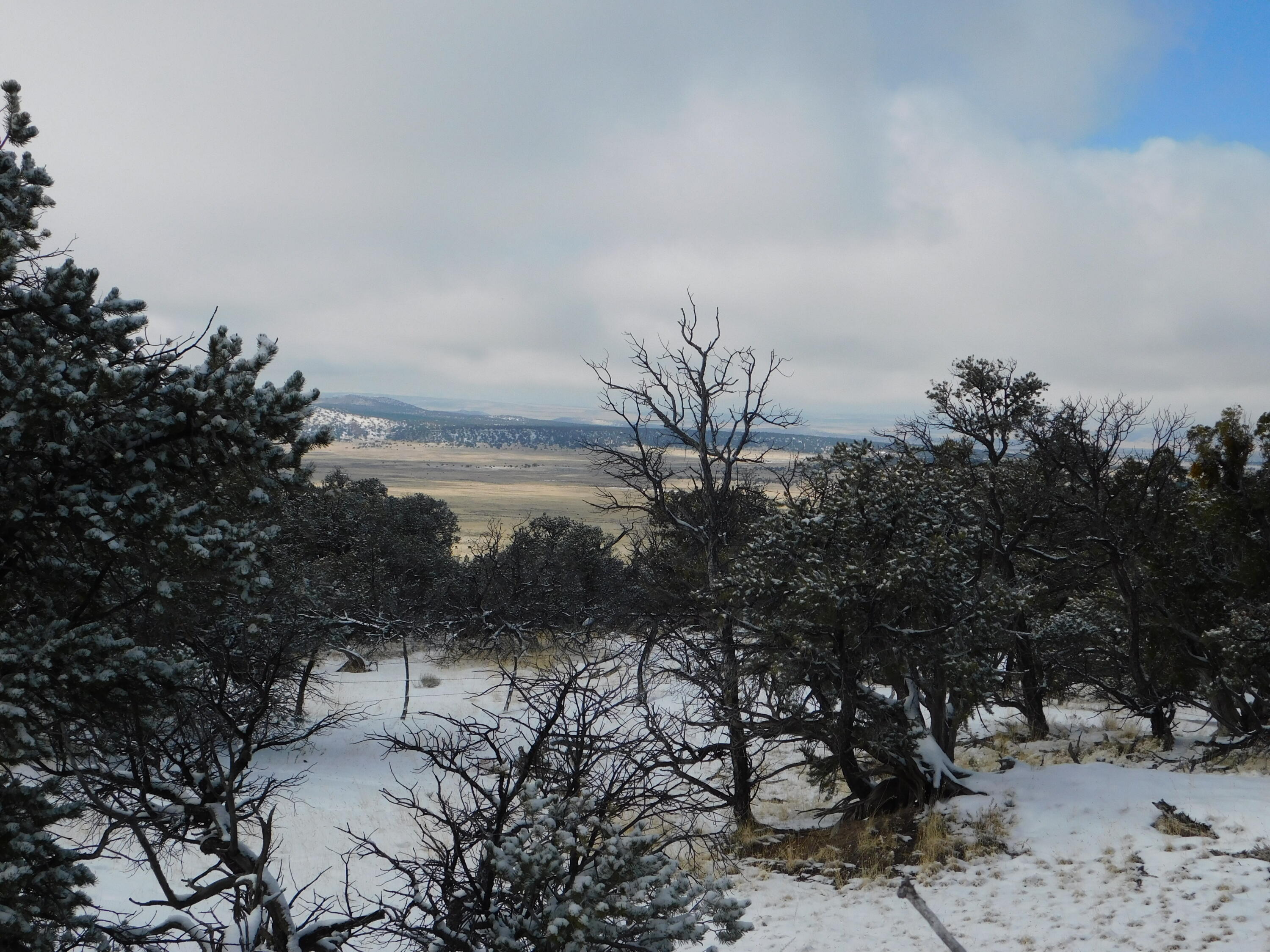 Lot 70 Creekside Drive, Quemado, New Mexico image 14