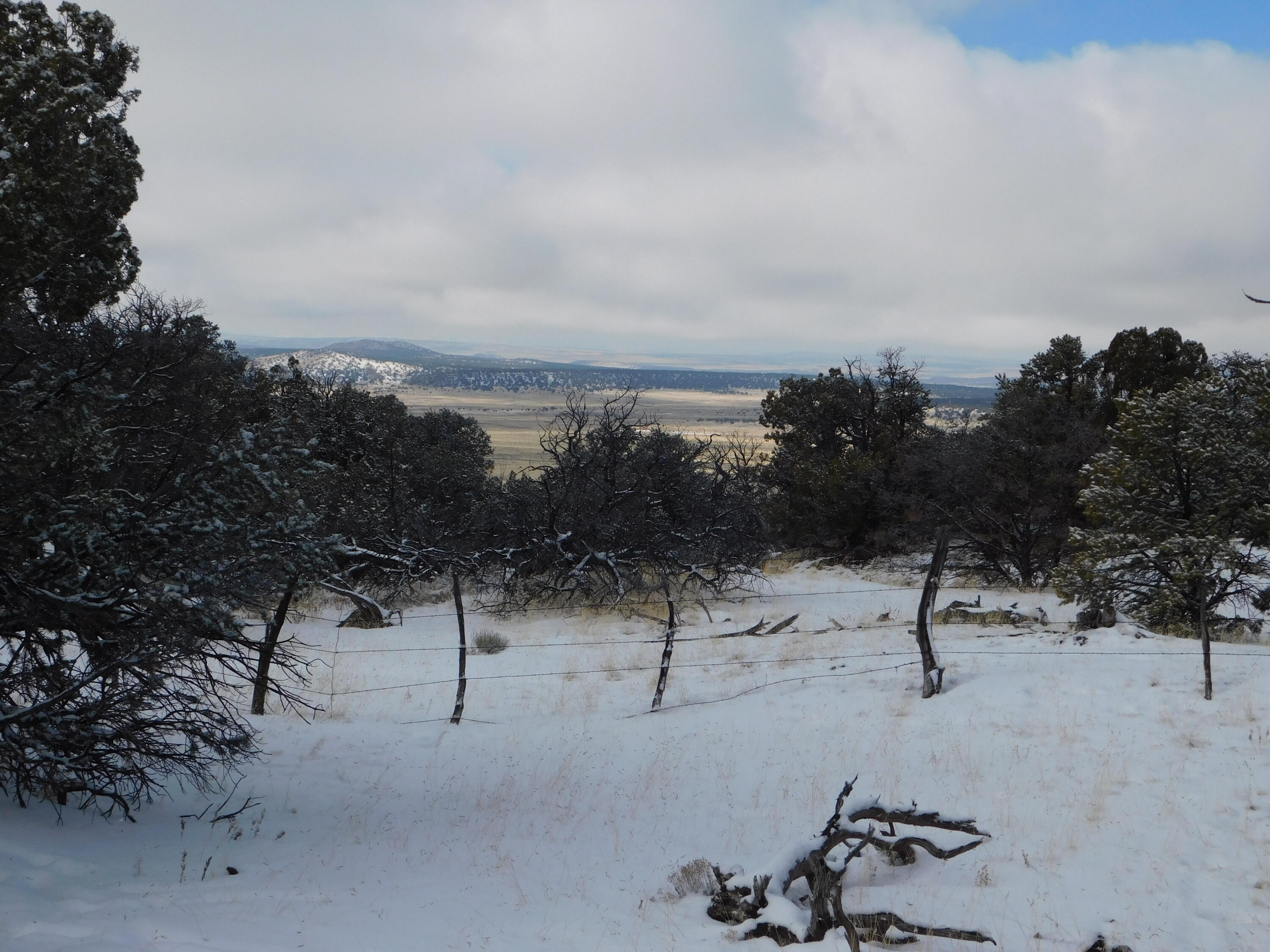 Lot 70 Creekside Drive, Quemado, New Mexico image 15