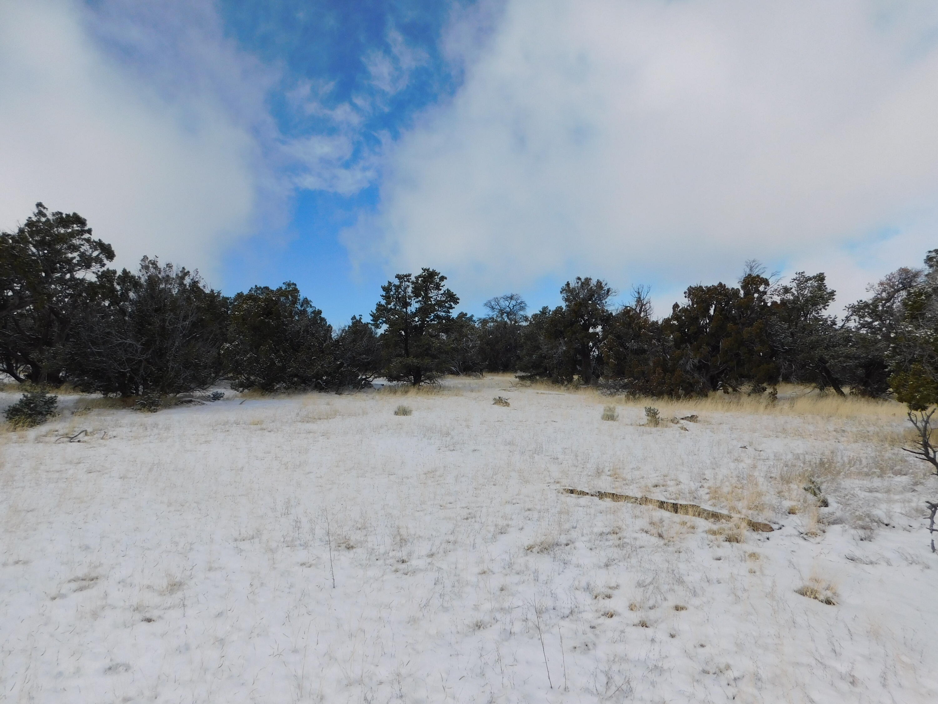 Lot 70 Creekside Drive, Quemado, New Mexico image 22