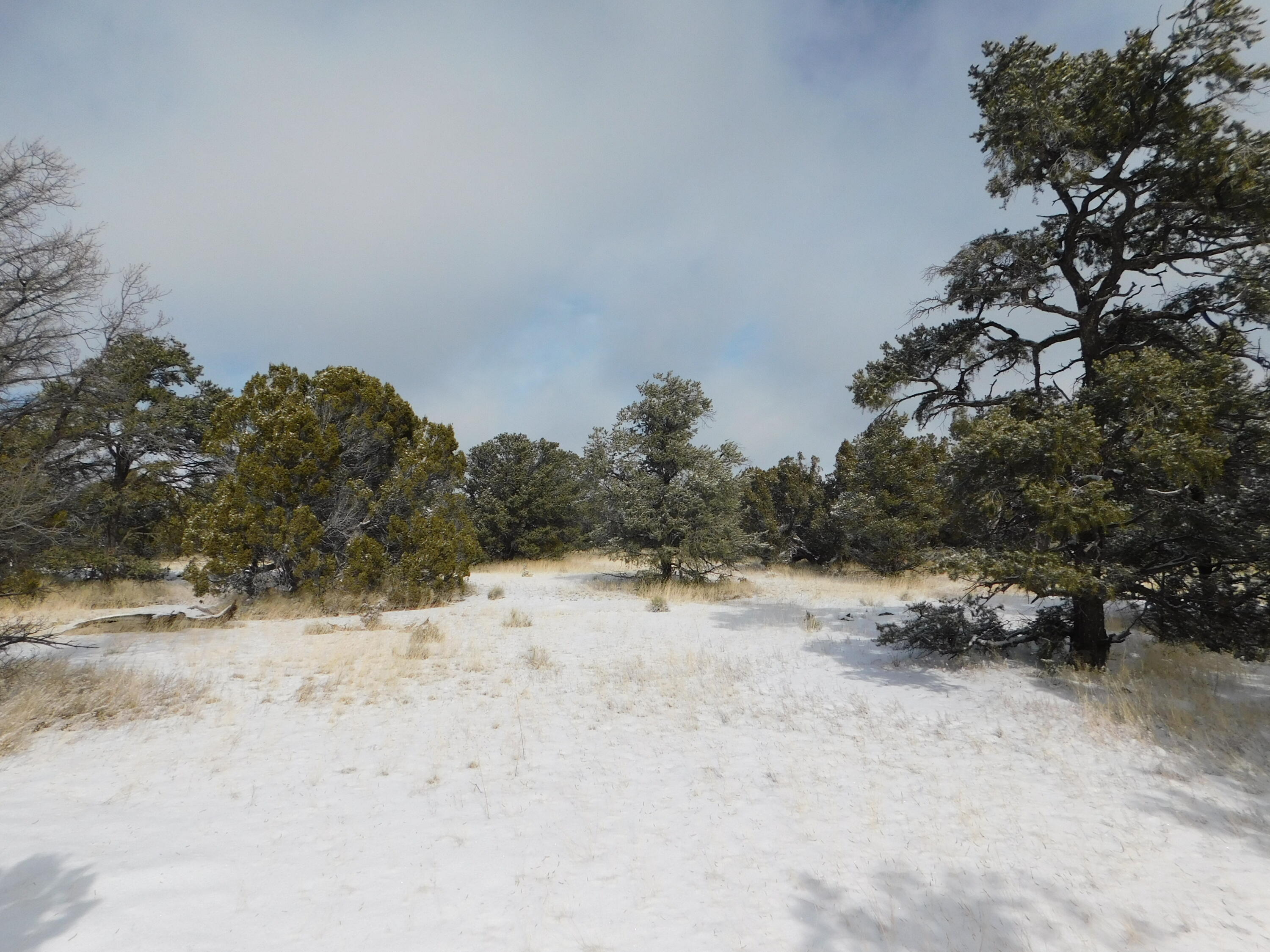 Lot 70 Creekside Drive, Quemado, New Mexico image 19