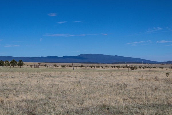30 CAMINO DE FE, MORIARTY, NM 87035 - Image 15d03bc93bef11e1f57a4f294a5c5b2d/4158534996