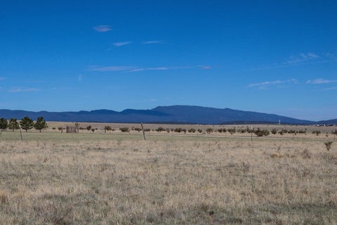 Vacant Land For Sale - 30 Camino De Fe<br/> Moriarty, NM 87035