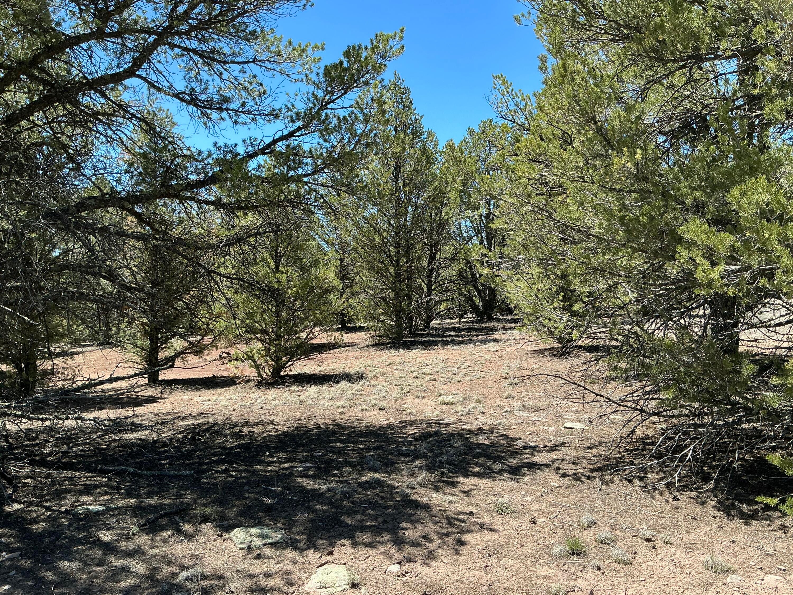Lot 17 Buttonwood Drive