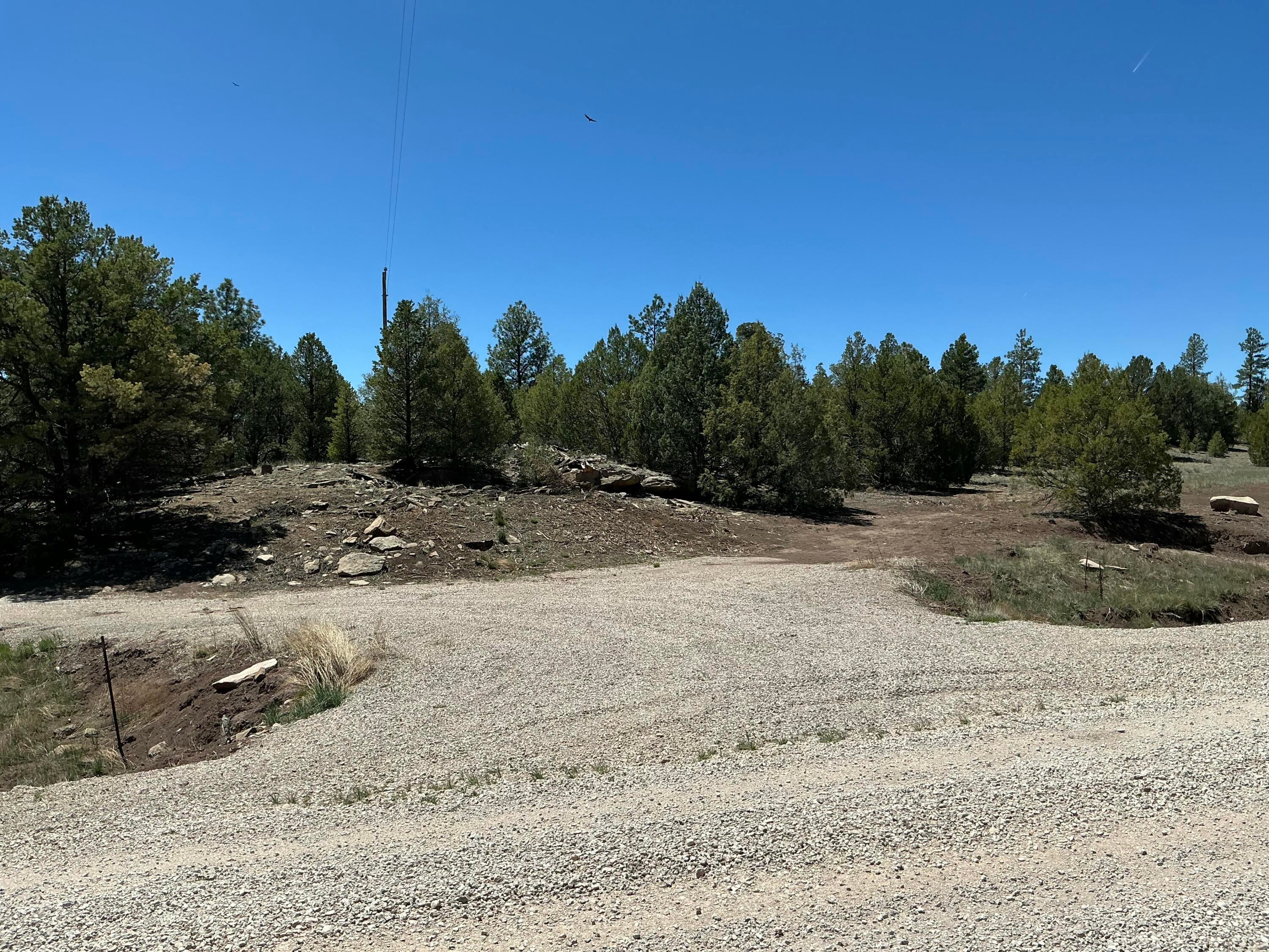 Lot 17 Buttonwood Drive