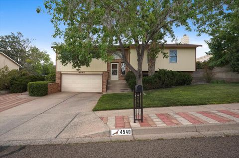 Homes For Sale - 4540 Palmyra Avenue<br/> Bernalillo County, Albuquerque, NM 87114