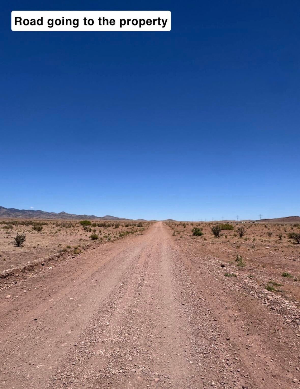 663 Willow Springs Ranch Road